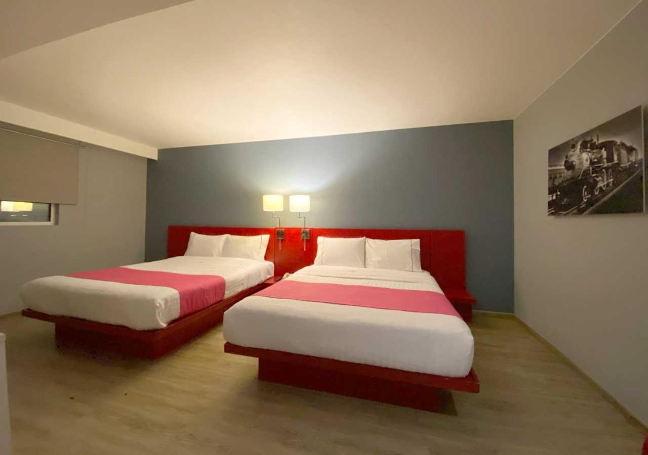Twin Room photo 2