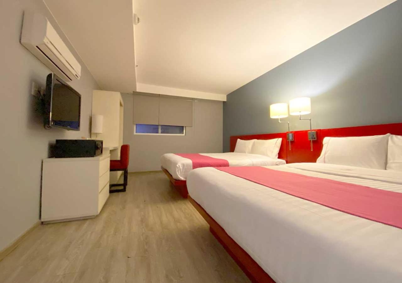Twin Room photo 3