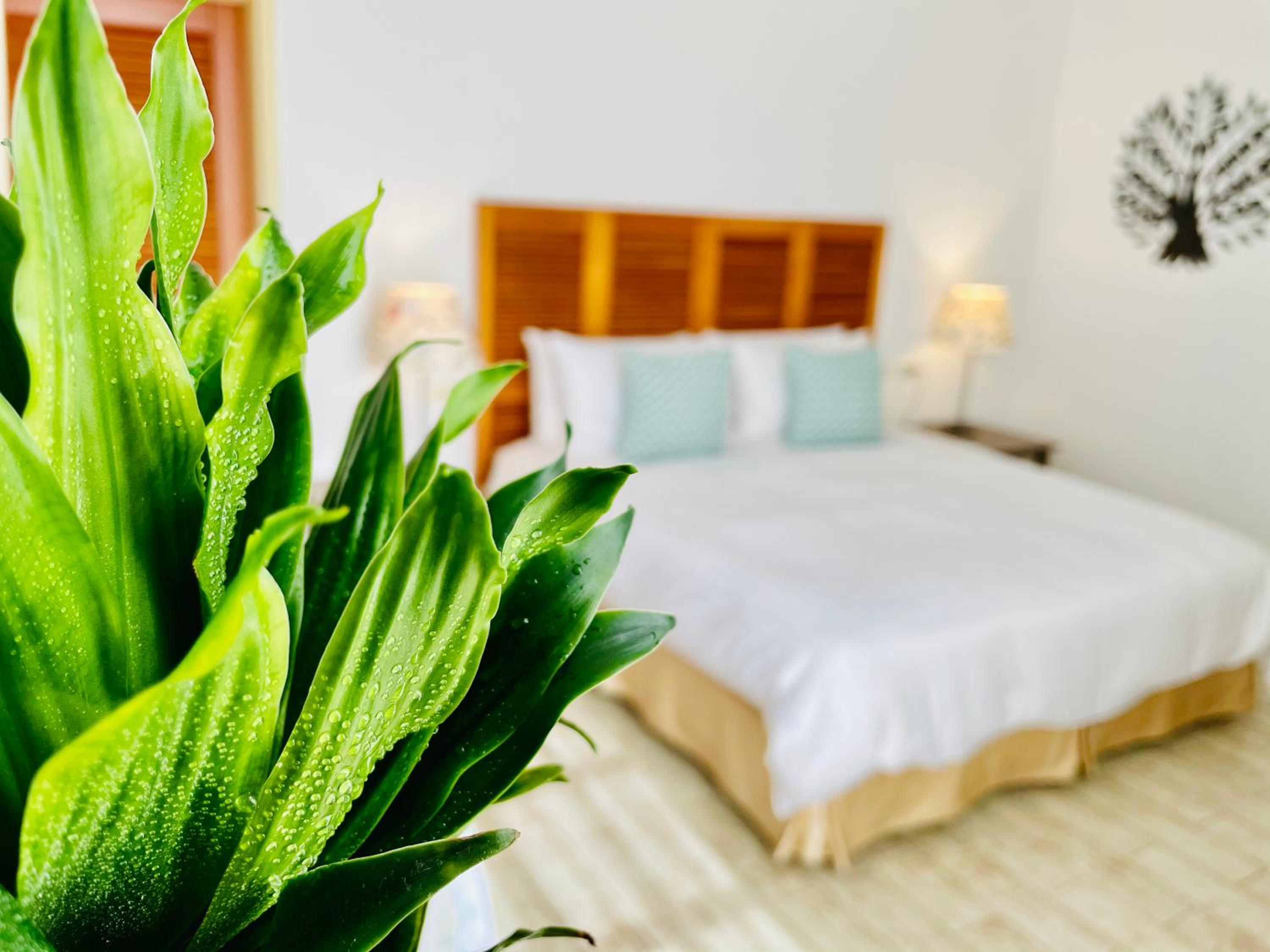 Deluxe Double Room with Side Sea View photo 1