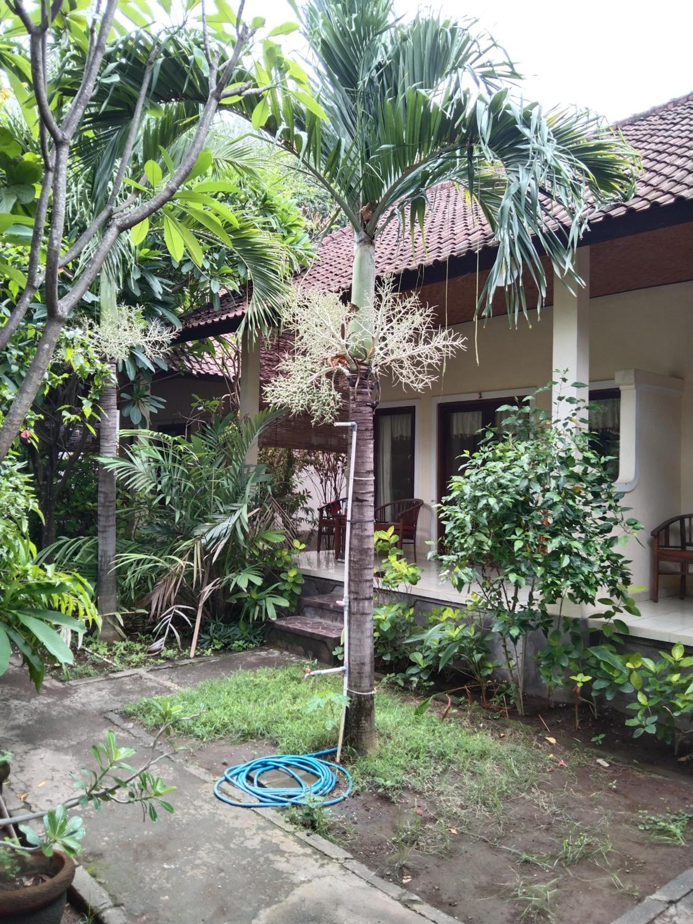 Bungalow with Patio - Photo 12