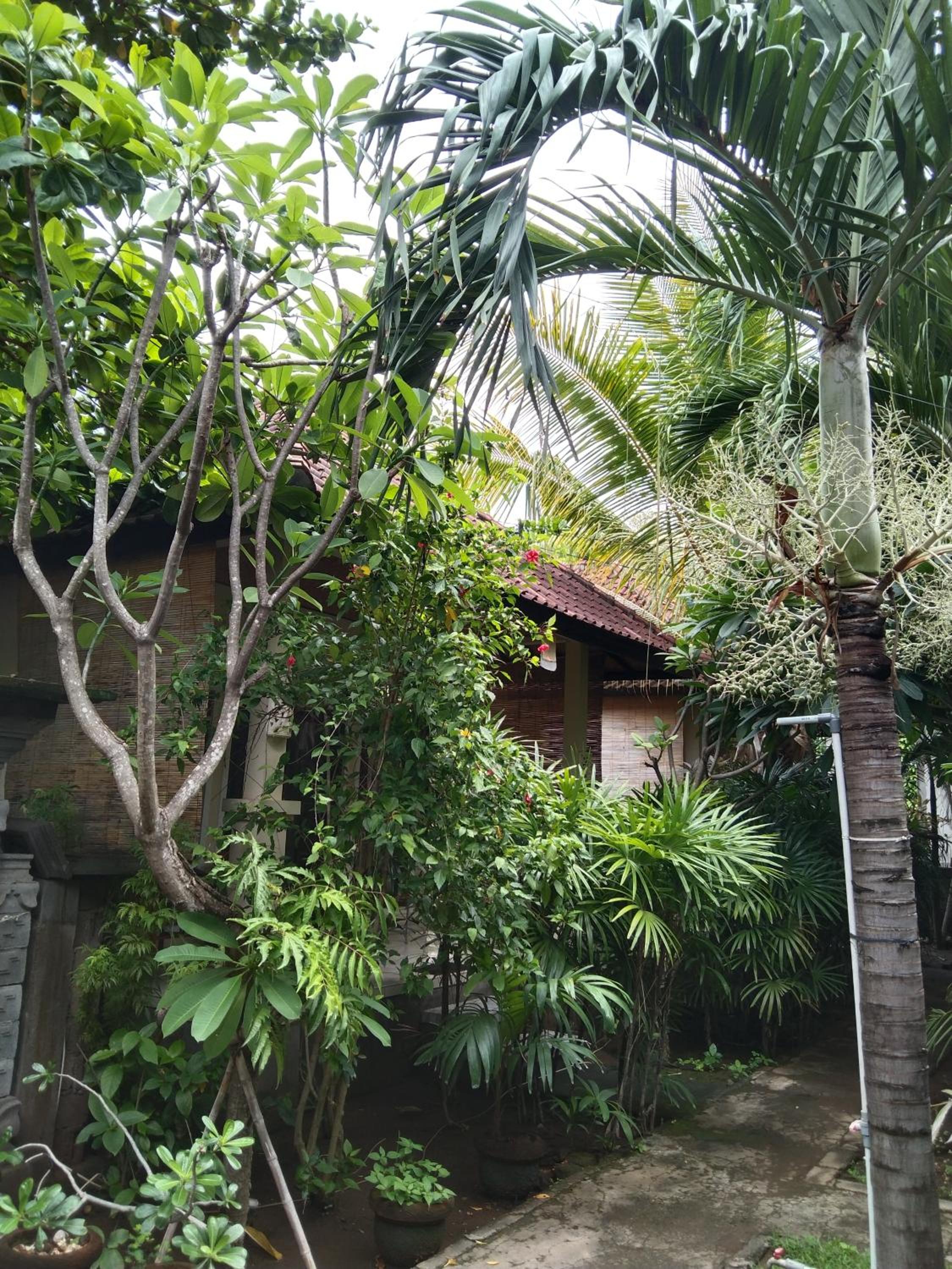 Bungalow with Patio - Photo 6