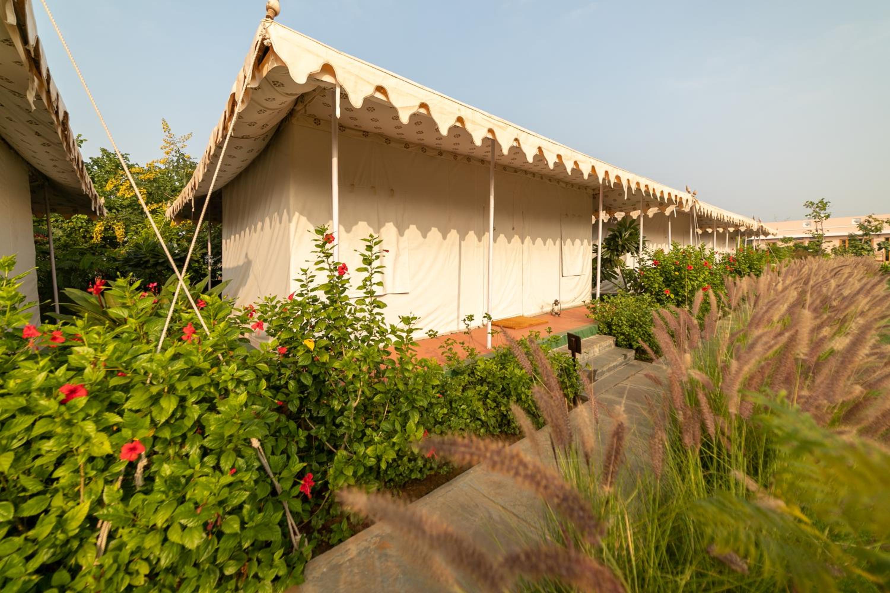 Tent - Photo 12