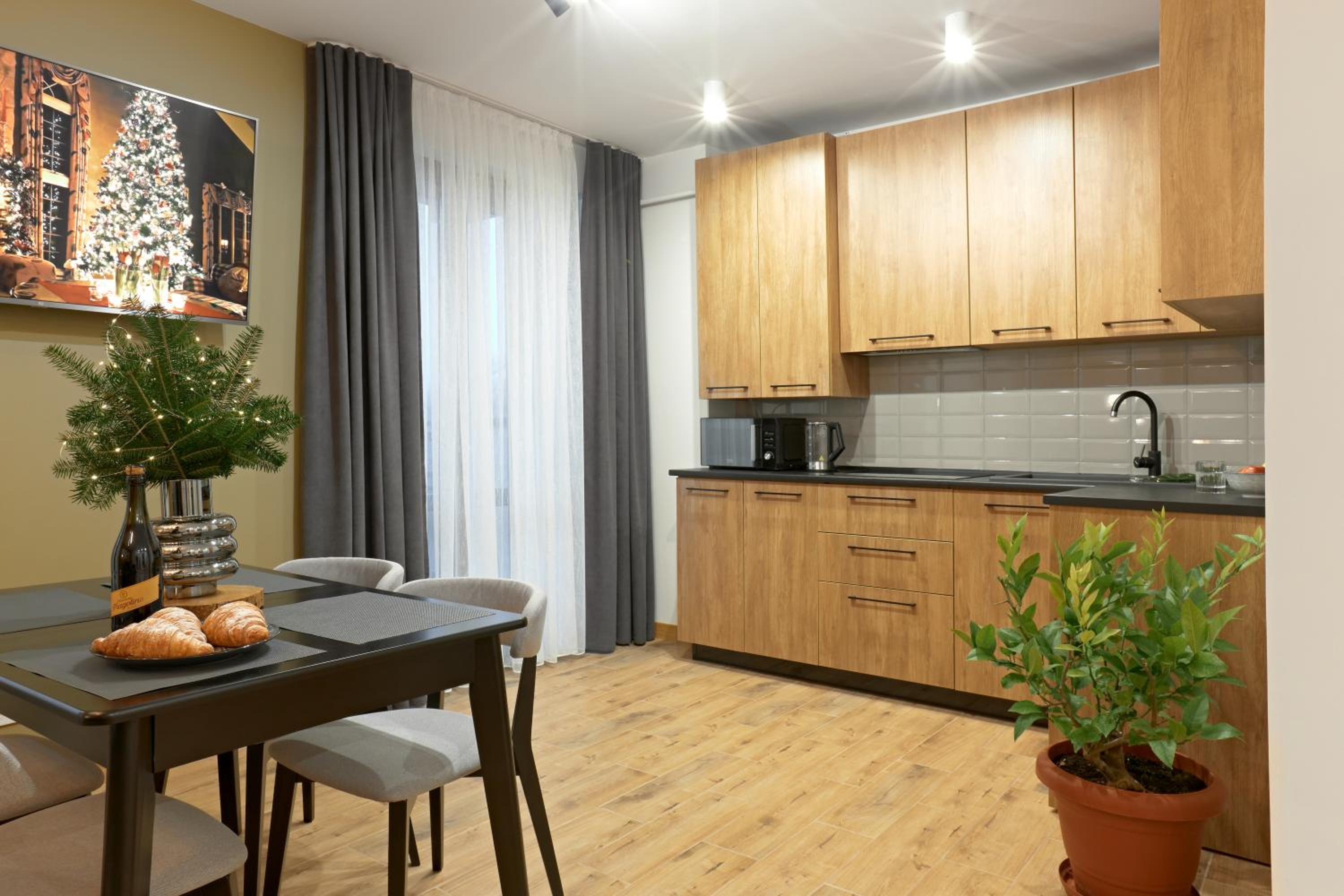 Apartment with Mountain View photo 3
