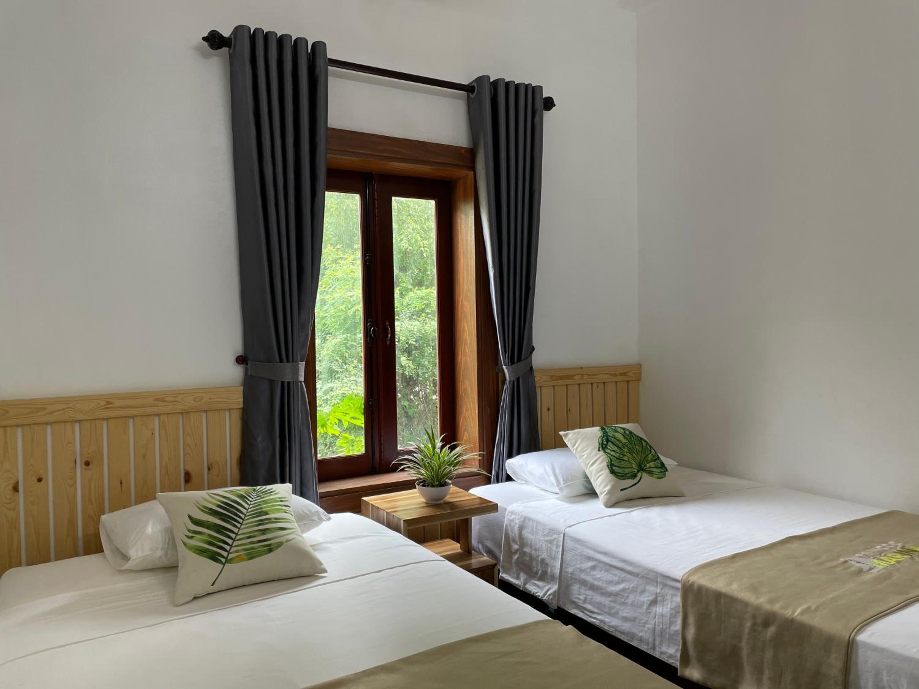 Deluxe Double or Twin Room photo 1