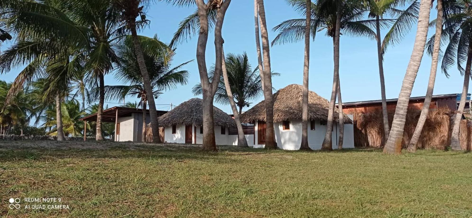 Deluxe Bungalow with Garden View photo 3