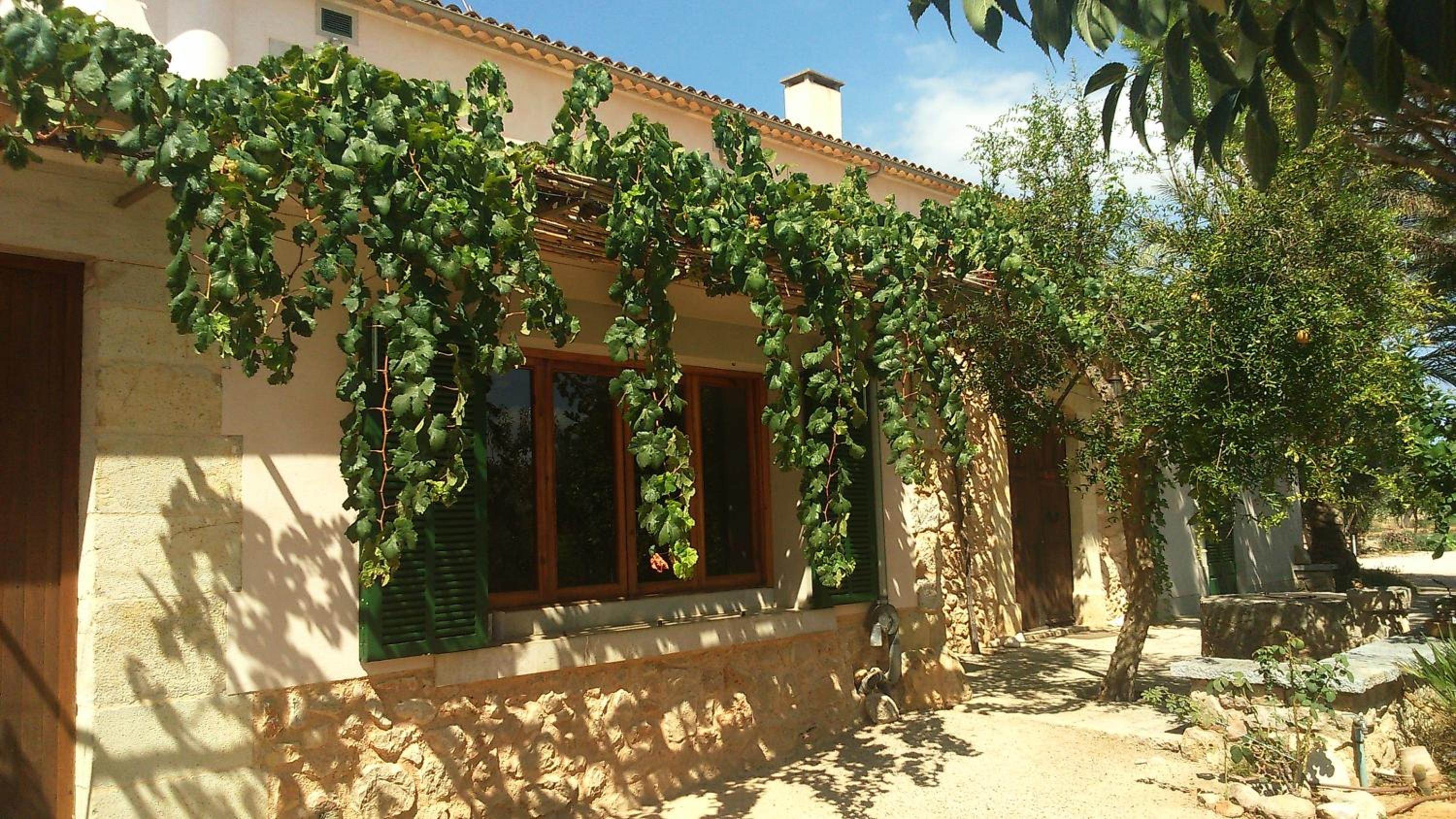 Villa photo 2