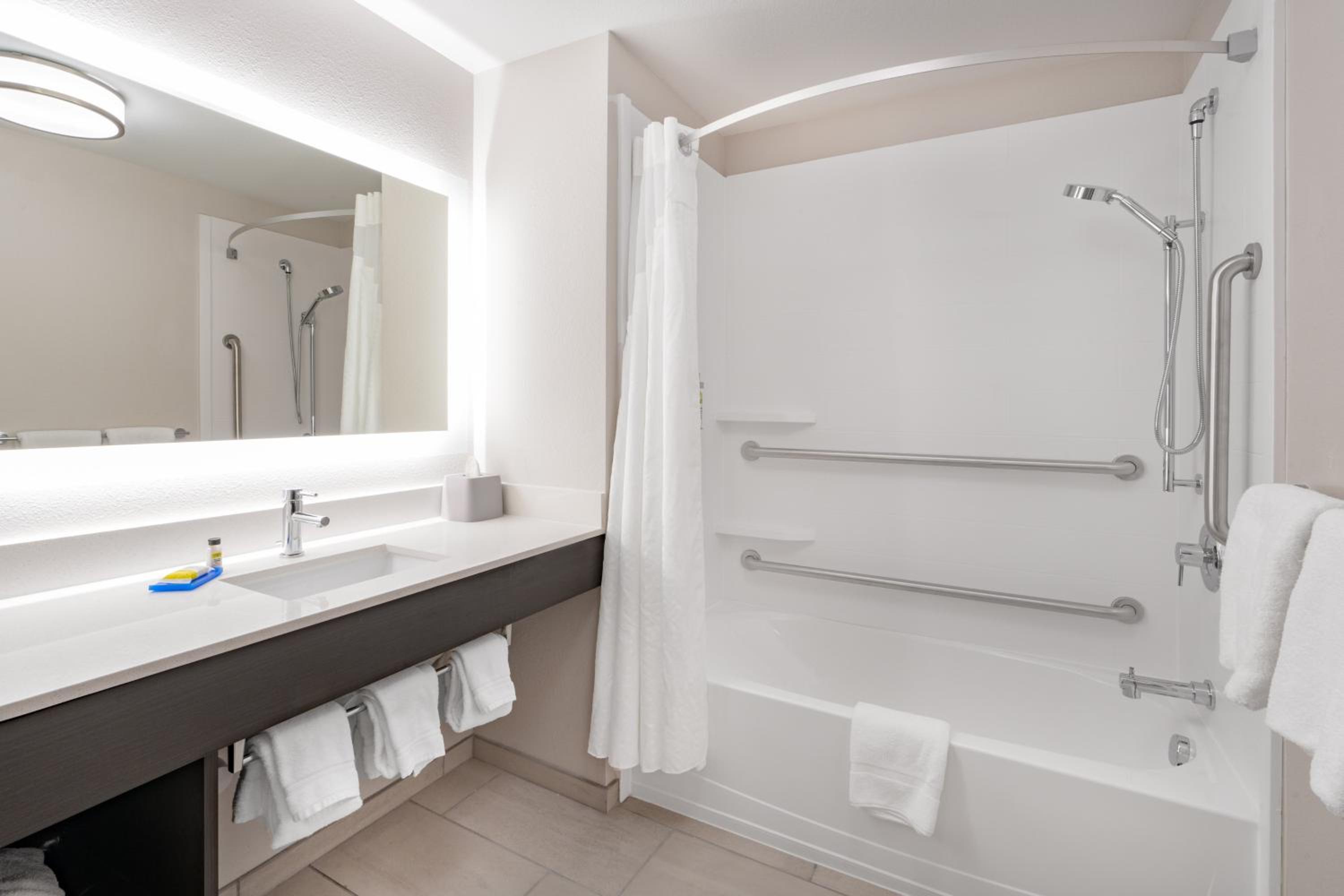 King Suite - Communications and Mobility Accessible Tub - Photo 5