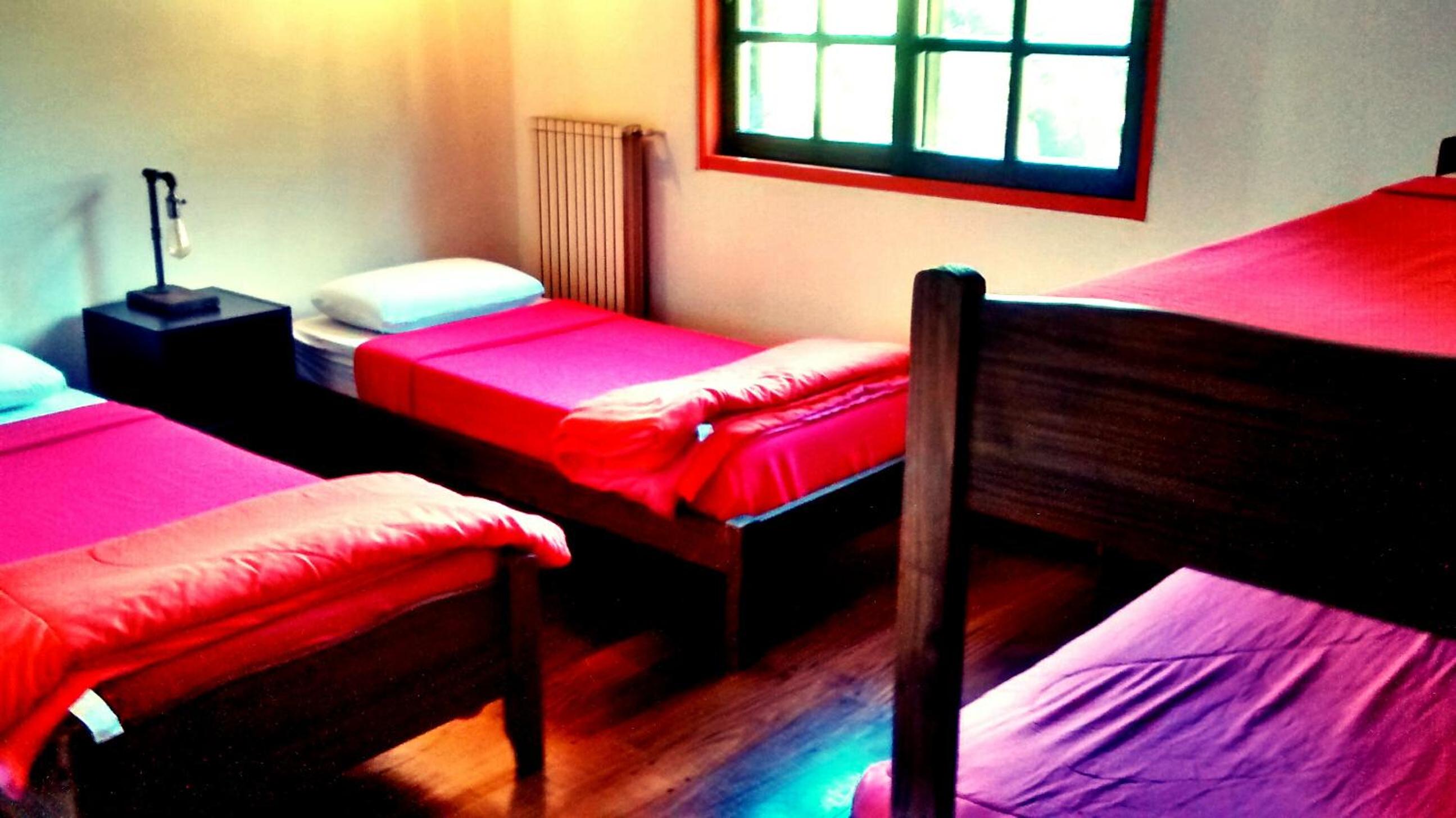 Single Bed in Mixed Dormitory Room photo 3
