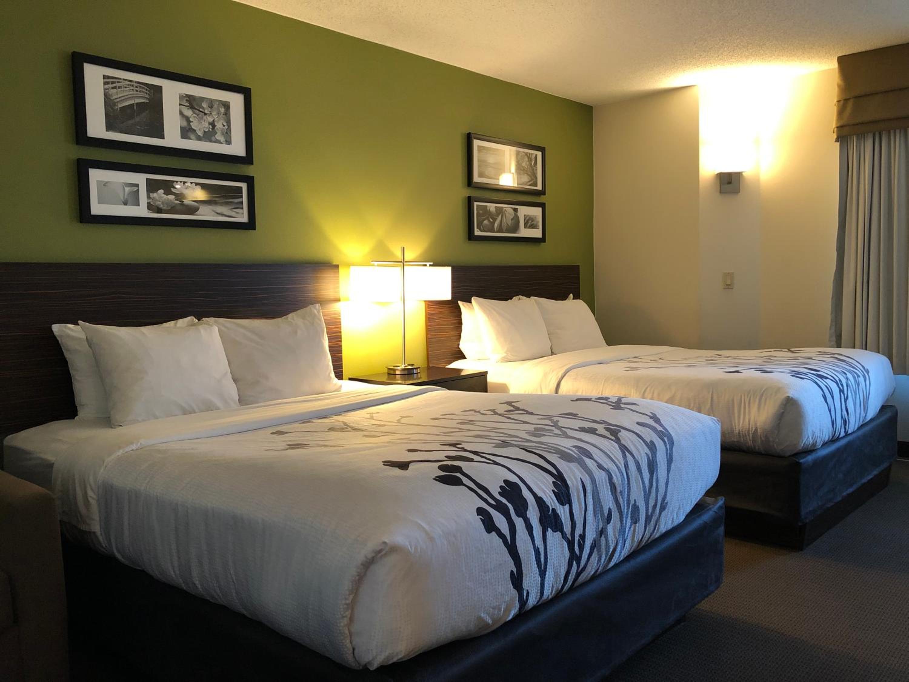 Standard Double Room With Two Double Beds - Non-Smoking - Photo 2