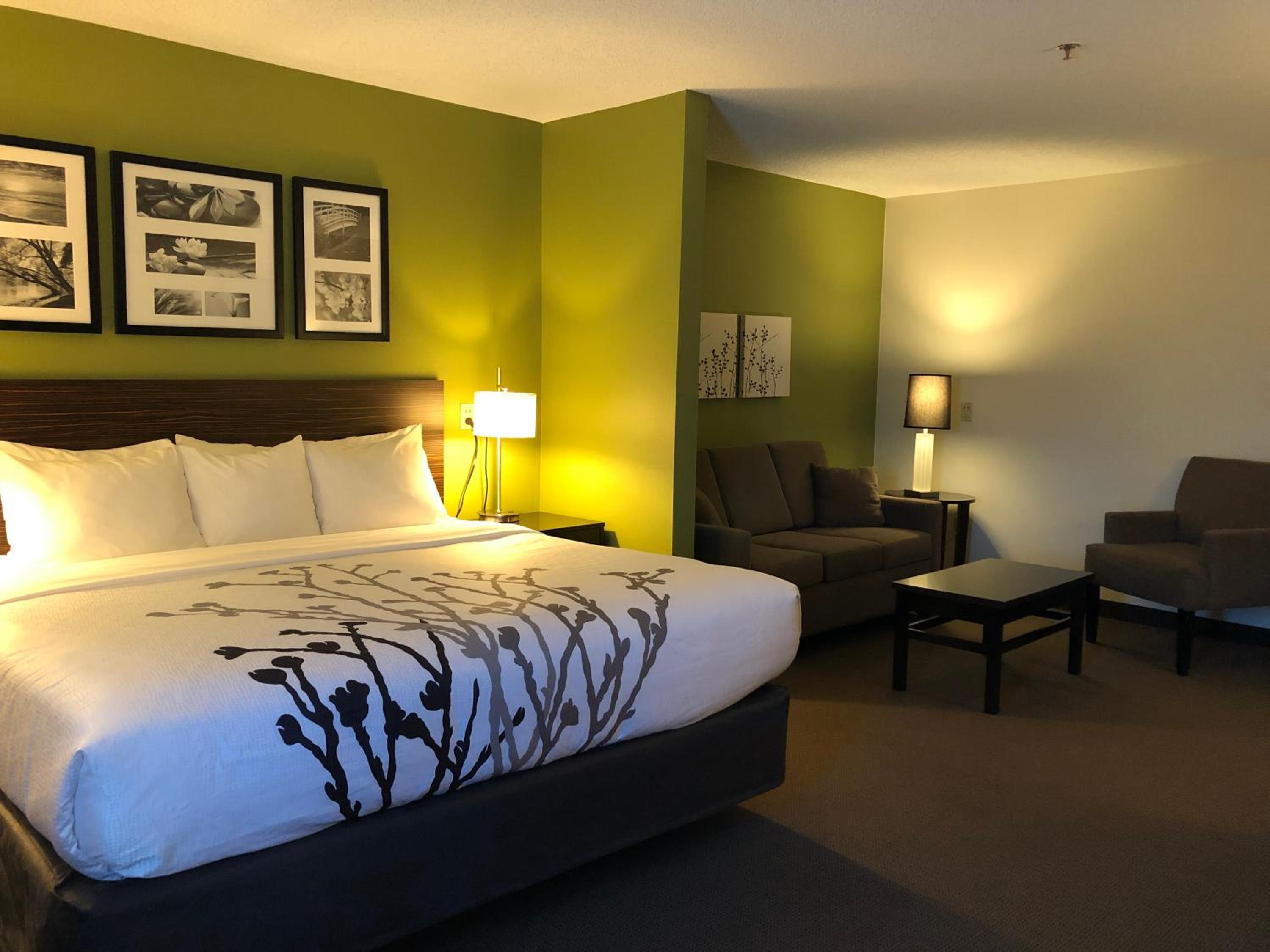 King Suite - Accessible/Non-Smoking - Photo 1