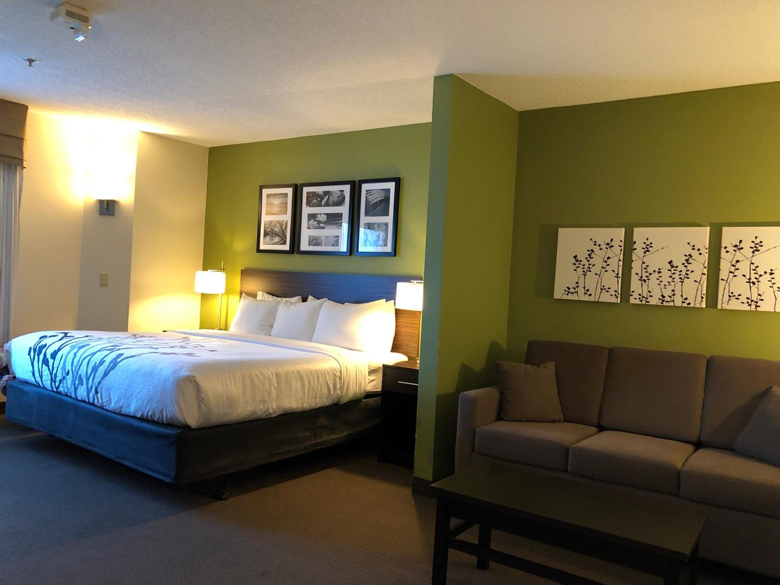 King Suite - Accessible/Non-Smoking - Photo 6