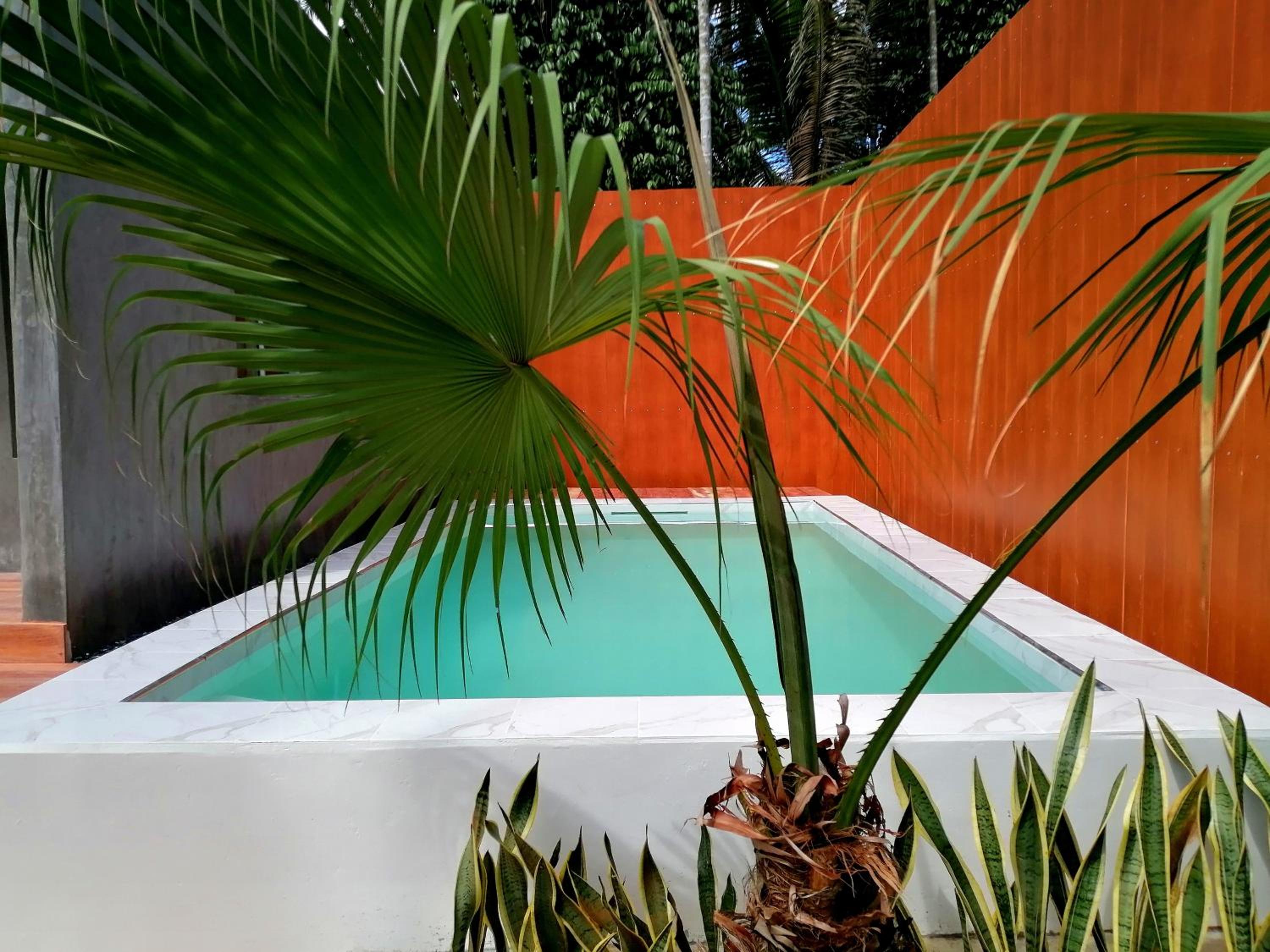 Double Room with Pool View - Photo 8