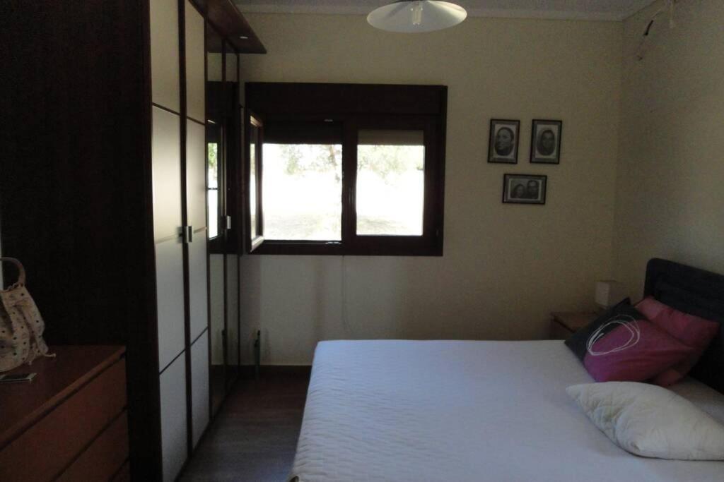 Deluxe Villa photo 1