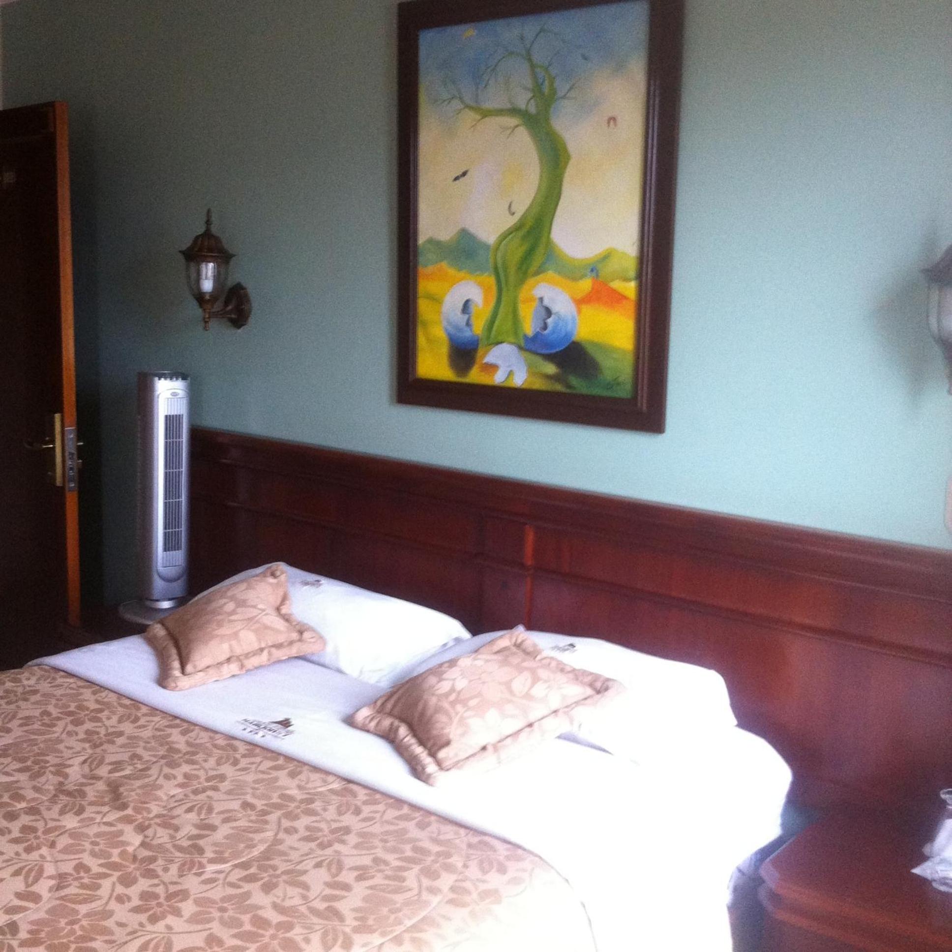 Double or Twin Room photo 3