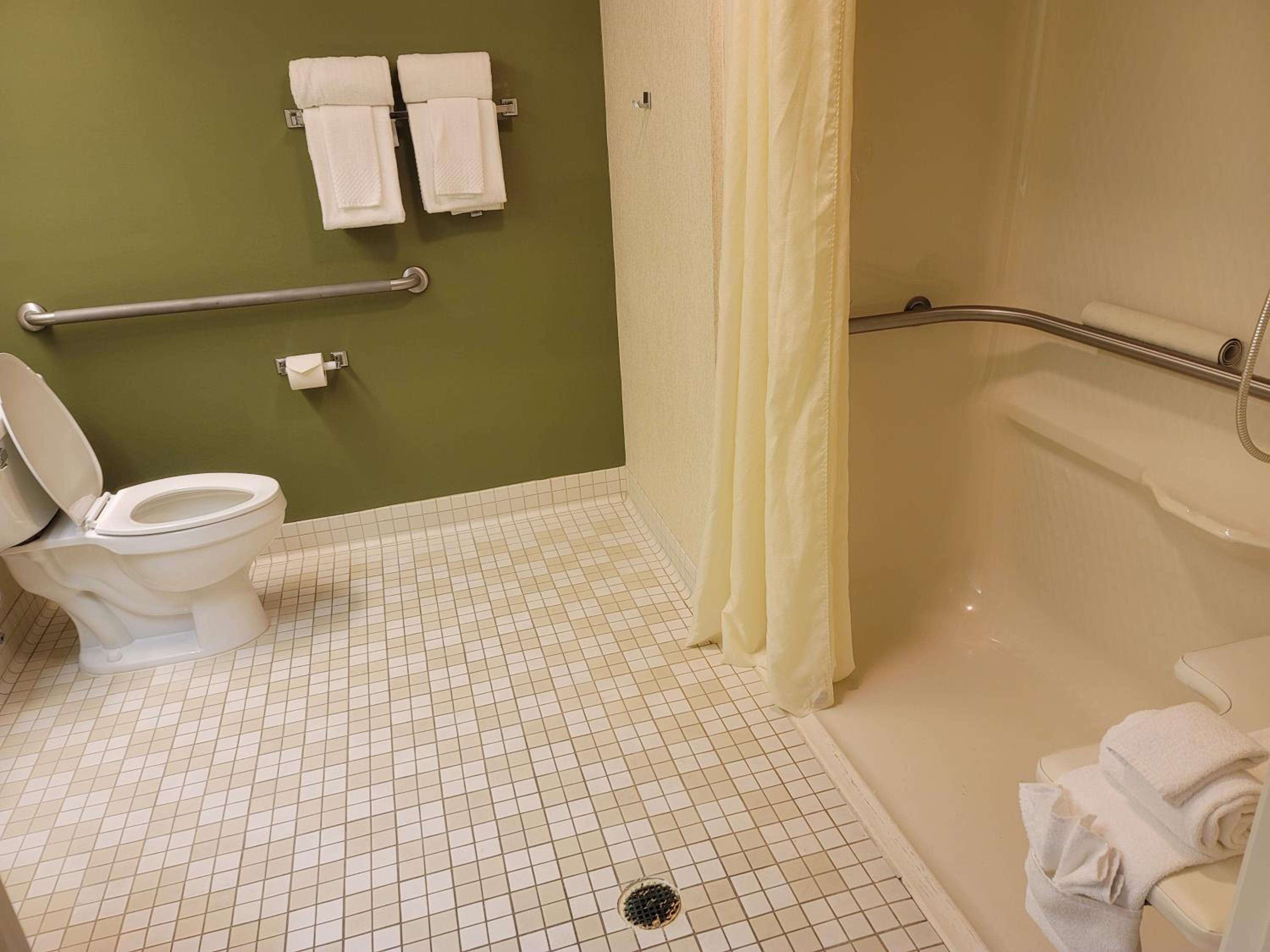 Queen Room with Roll-In Shower - Accessible/Non-Smoking photo 2