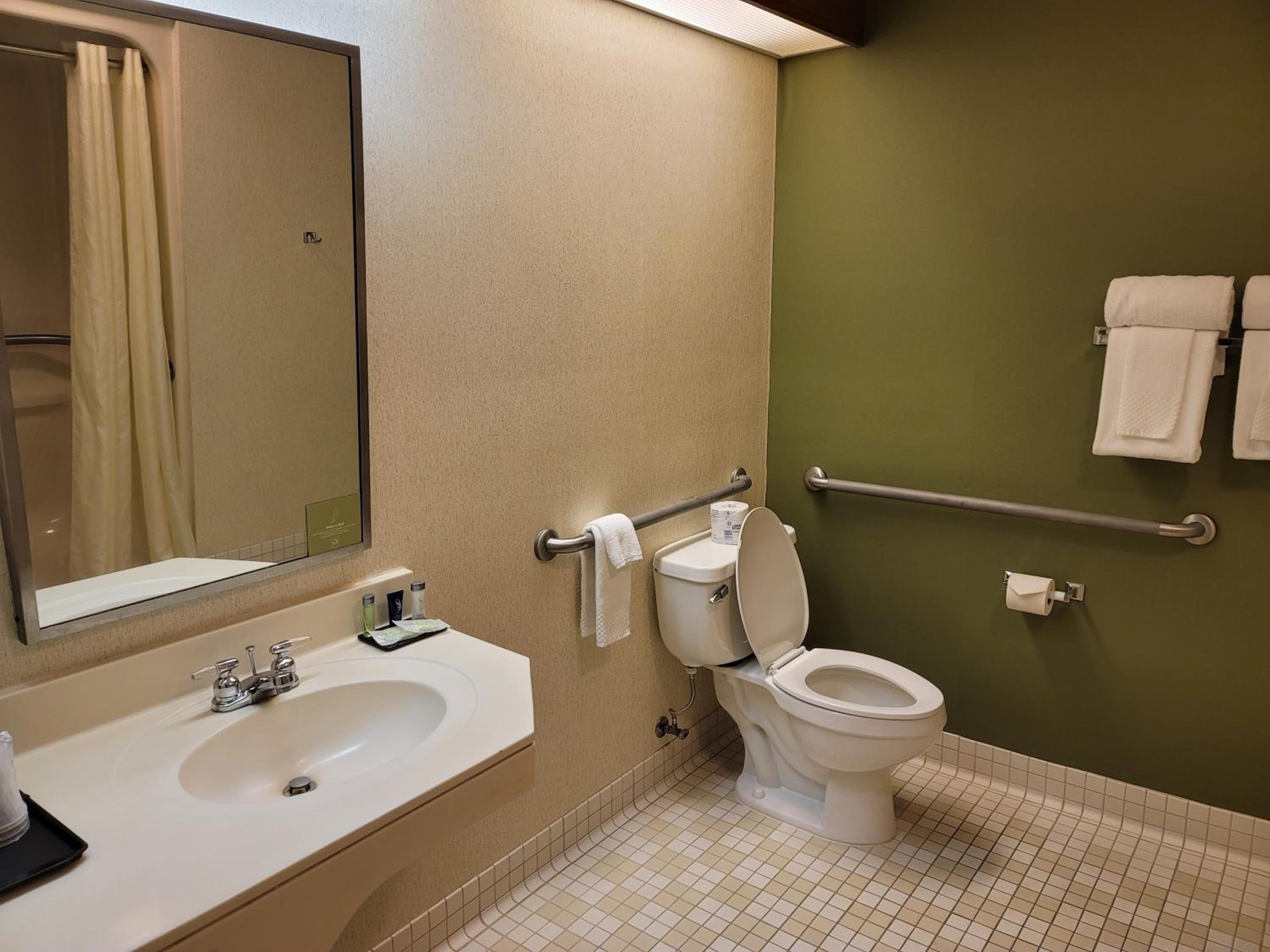 Queen Room with Roll-In Shower - Accessible/Non-Smoking photo 3