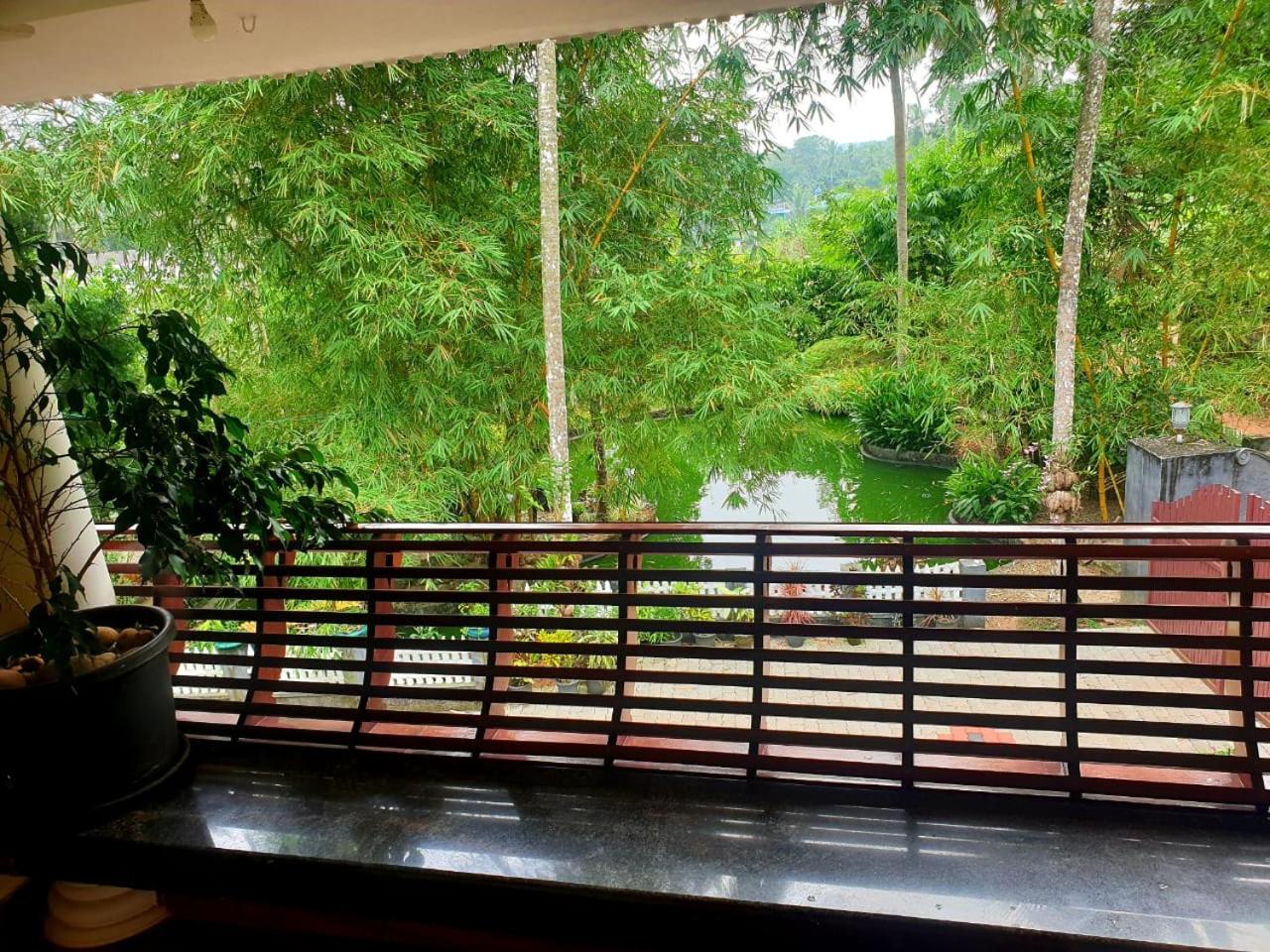 Double Room with Balcony photo 2