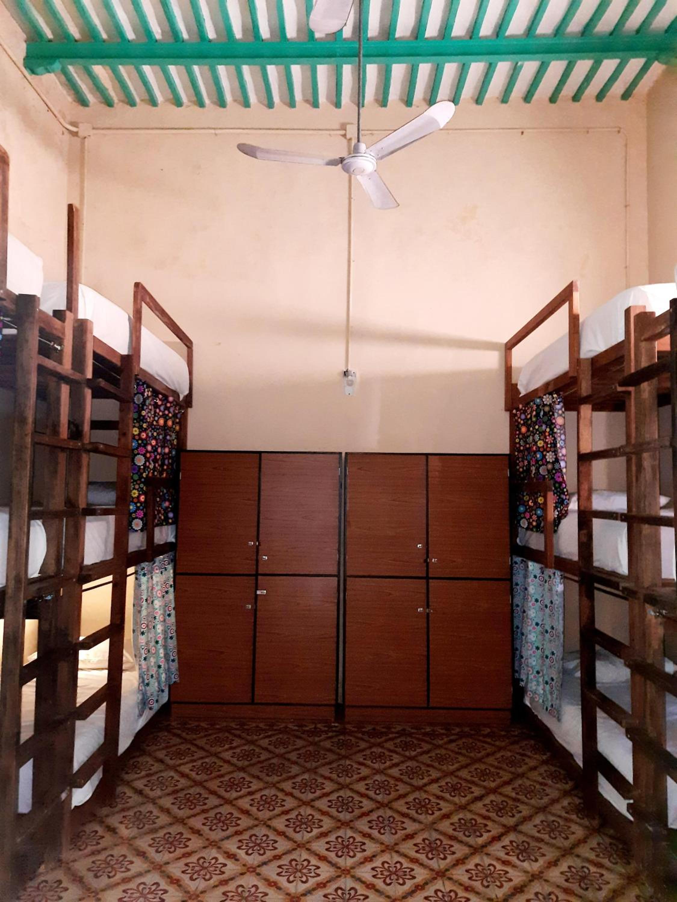 Bunk Bed in Mixed Dormitory Room photo 1