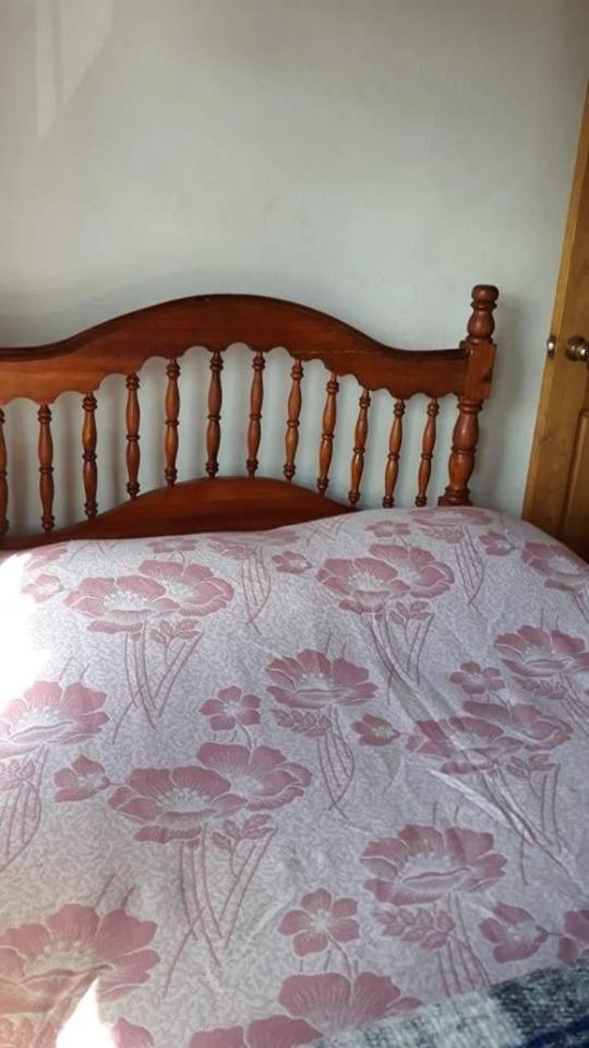 Apartment - Photo 12