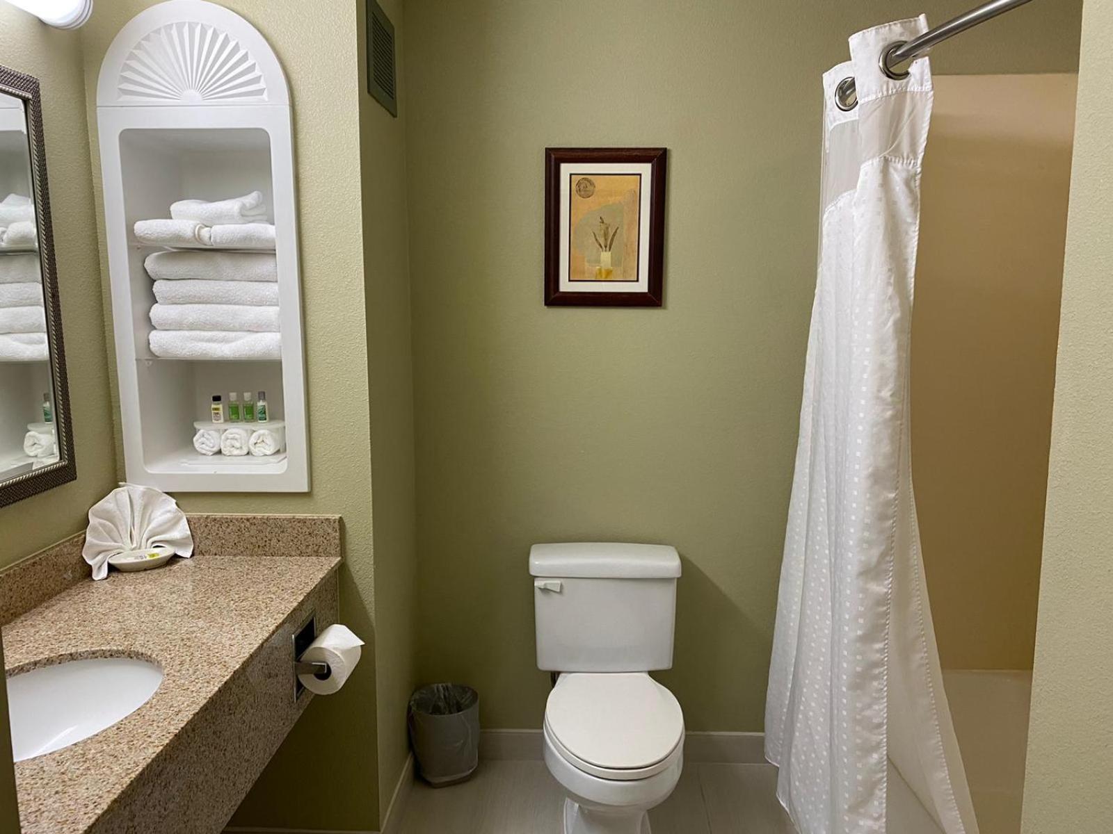 1 King Bed, Mobility Accessible Room, Bathtub w/ Grab Bars, Non-Smoking - Photo 4
