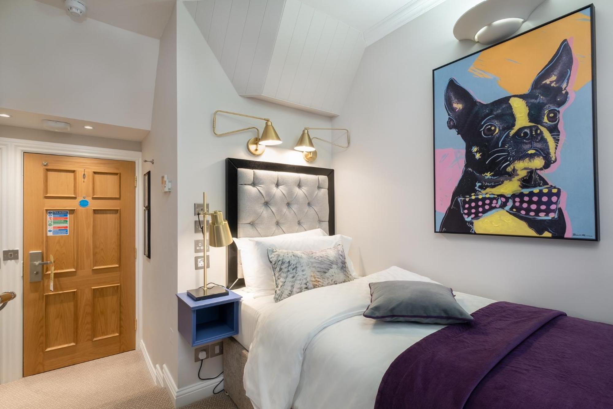 Single Room thumbnail 6
