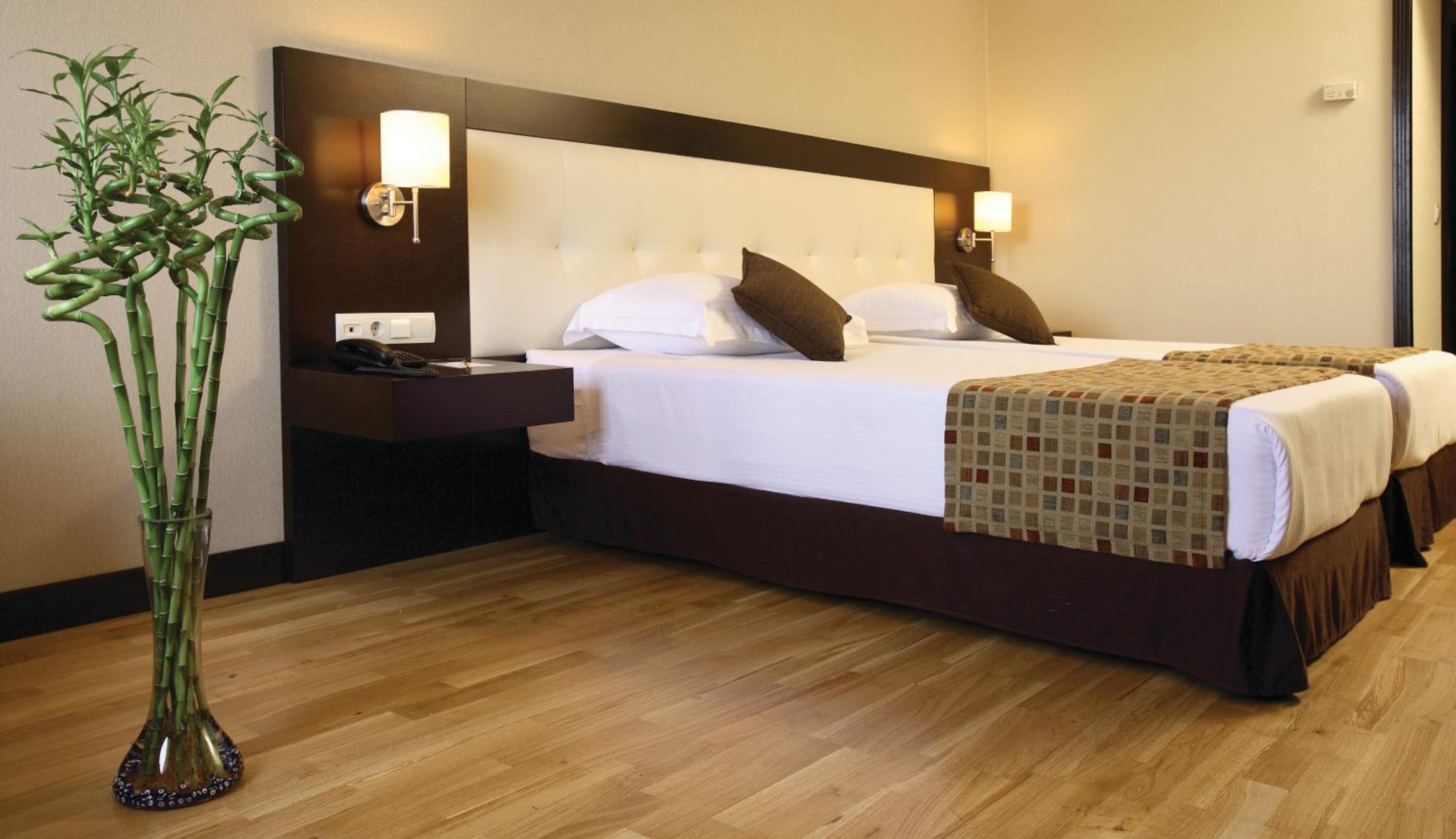 Deluxe Double Room thumbnail 5