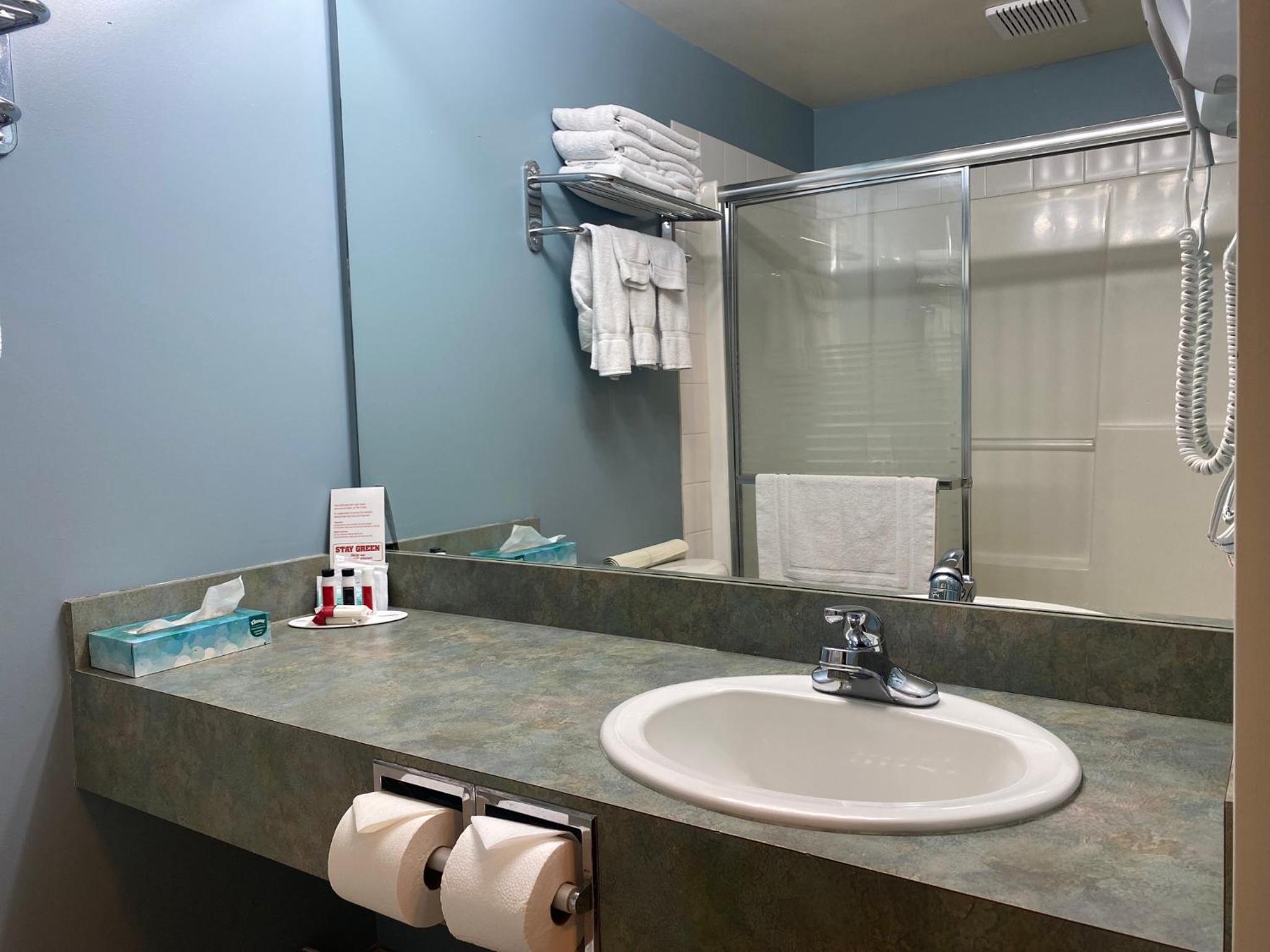 King Suite with Spa Bath - Photo 6