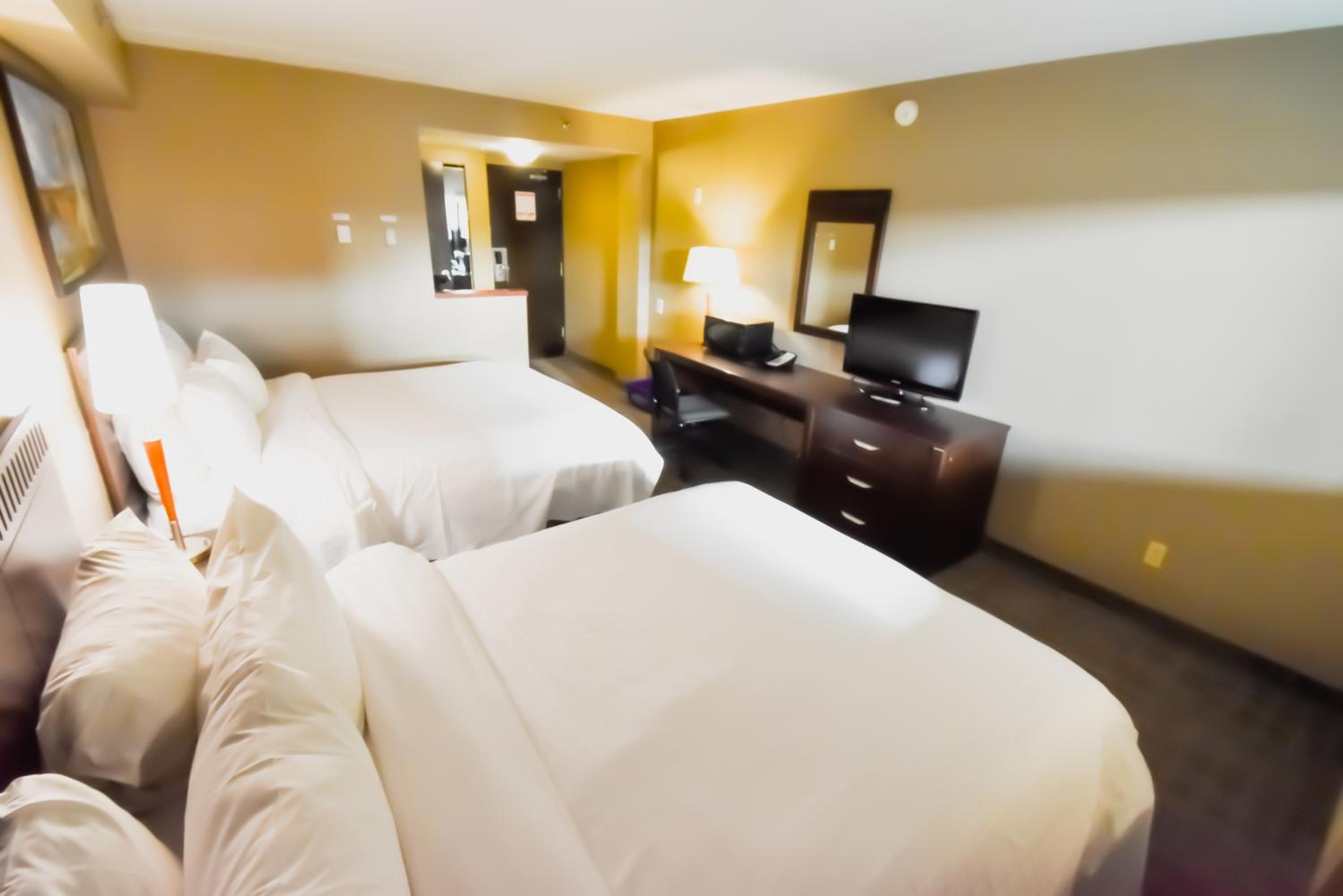 Standard Queen Room photo 1