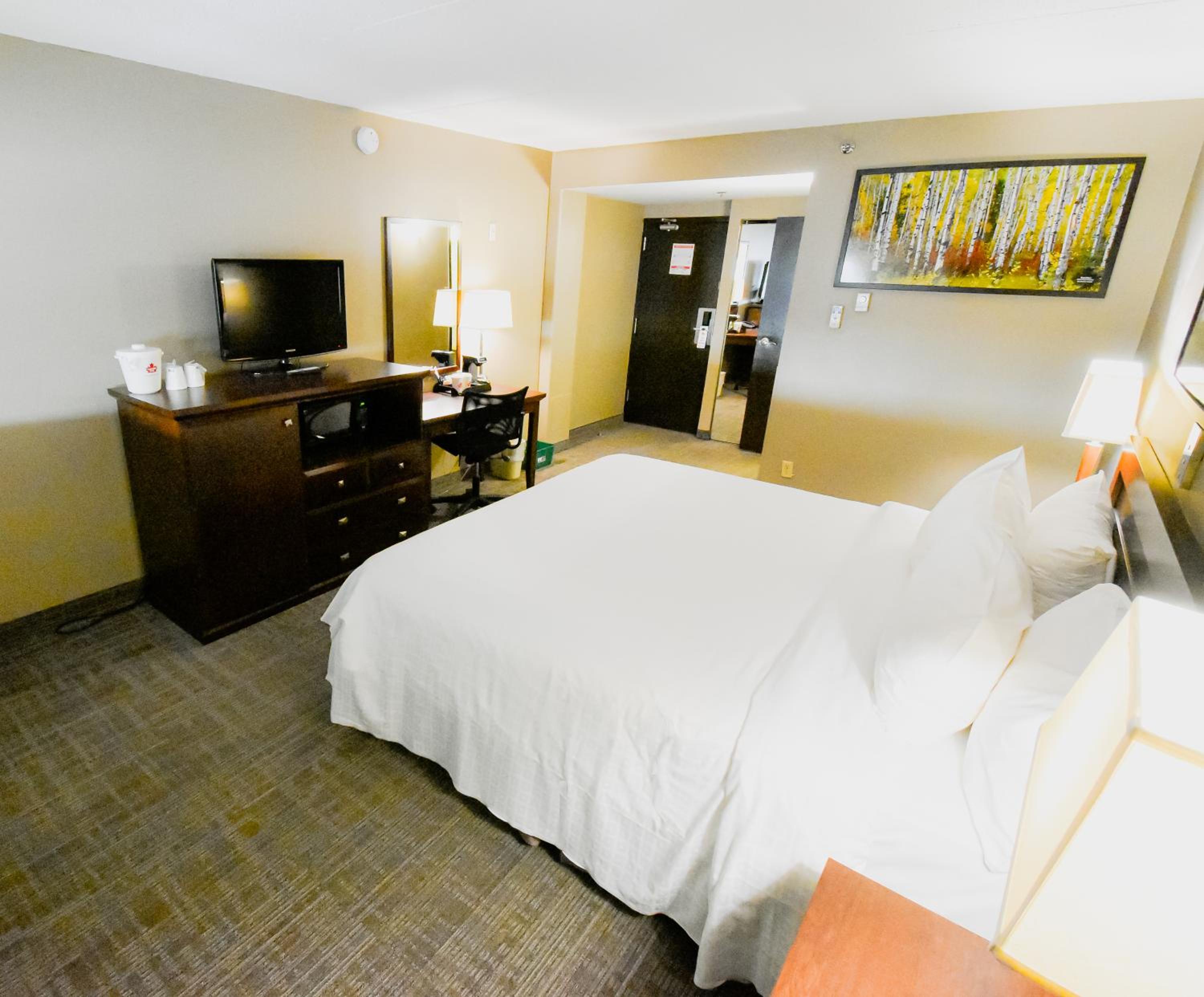 Standard King Room photo 1
