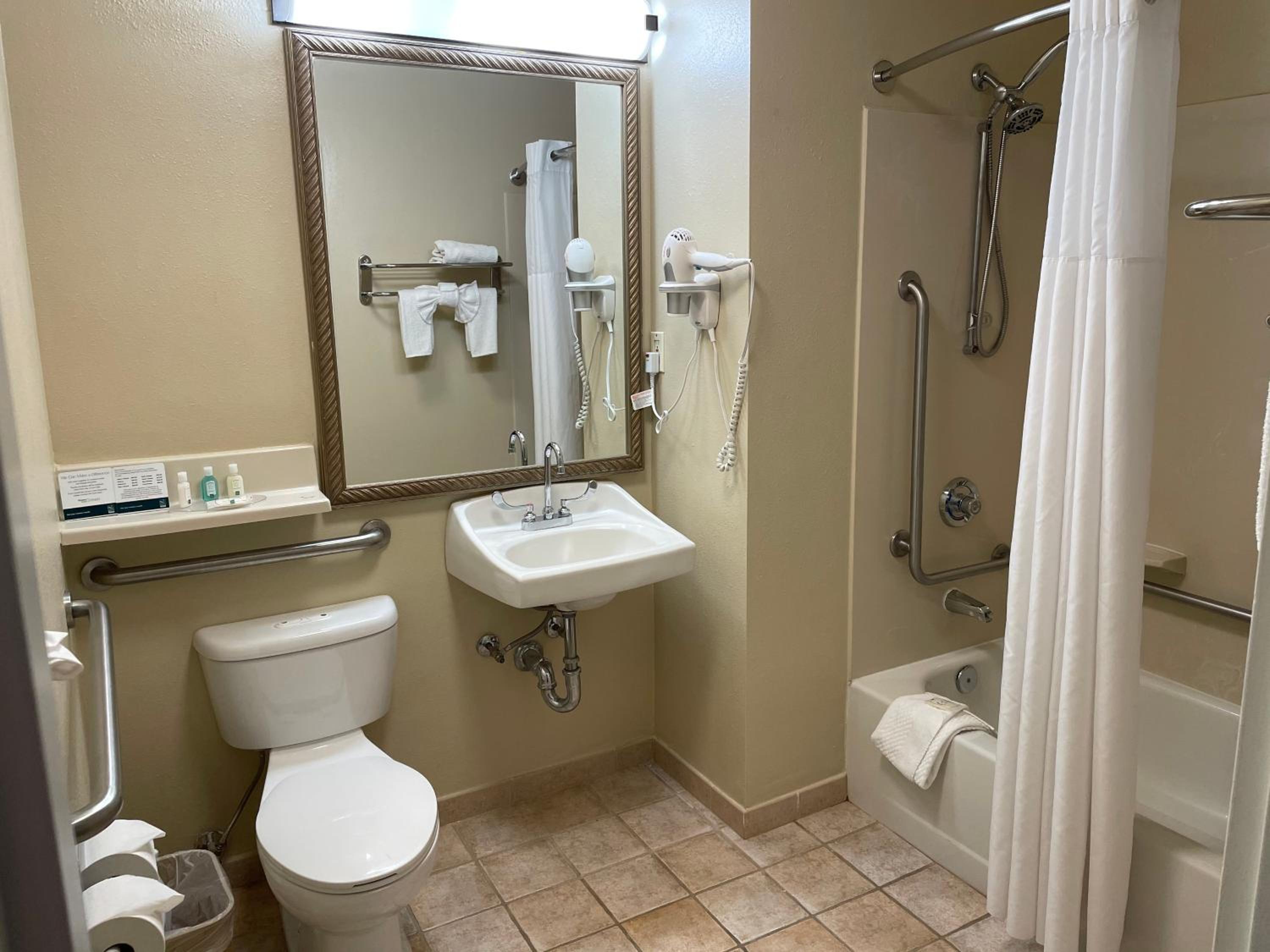 Standard Room, 1 King Bed, Accessible Roll-In Shower, Non Smoking