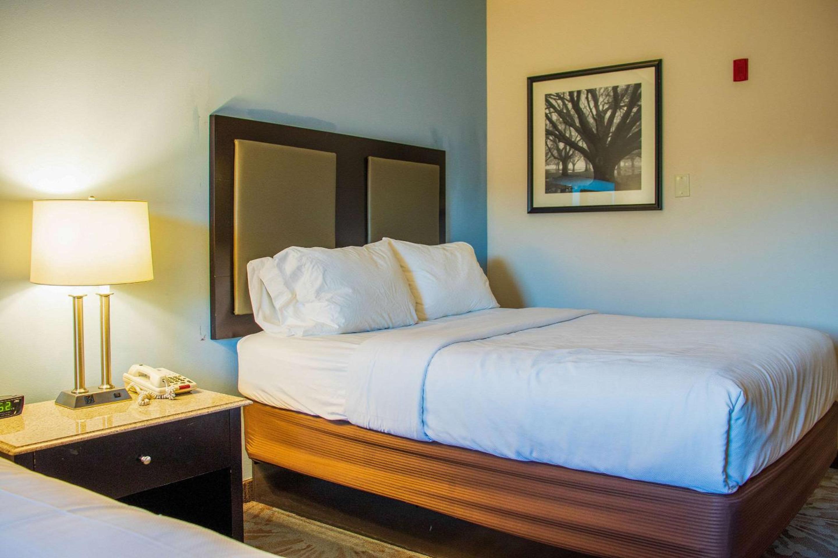 Standard Queen Room with Two Queen Beds - Non-Smoking - Photo 4