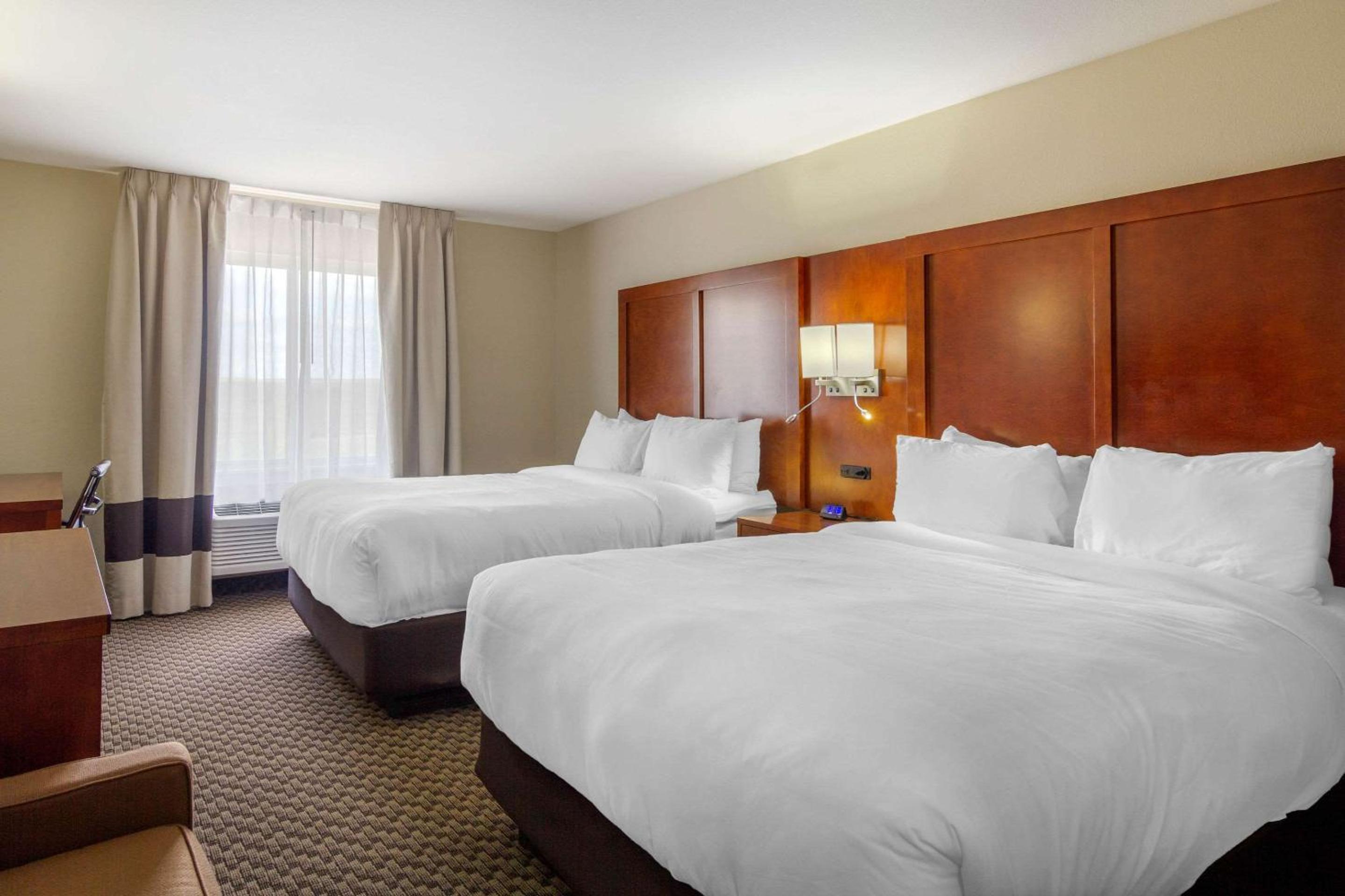 Queen Room with Two Queen Beds - Non-Smoking photo 3