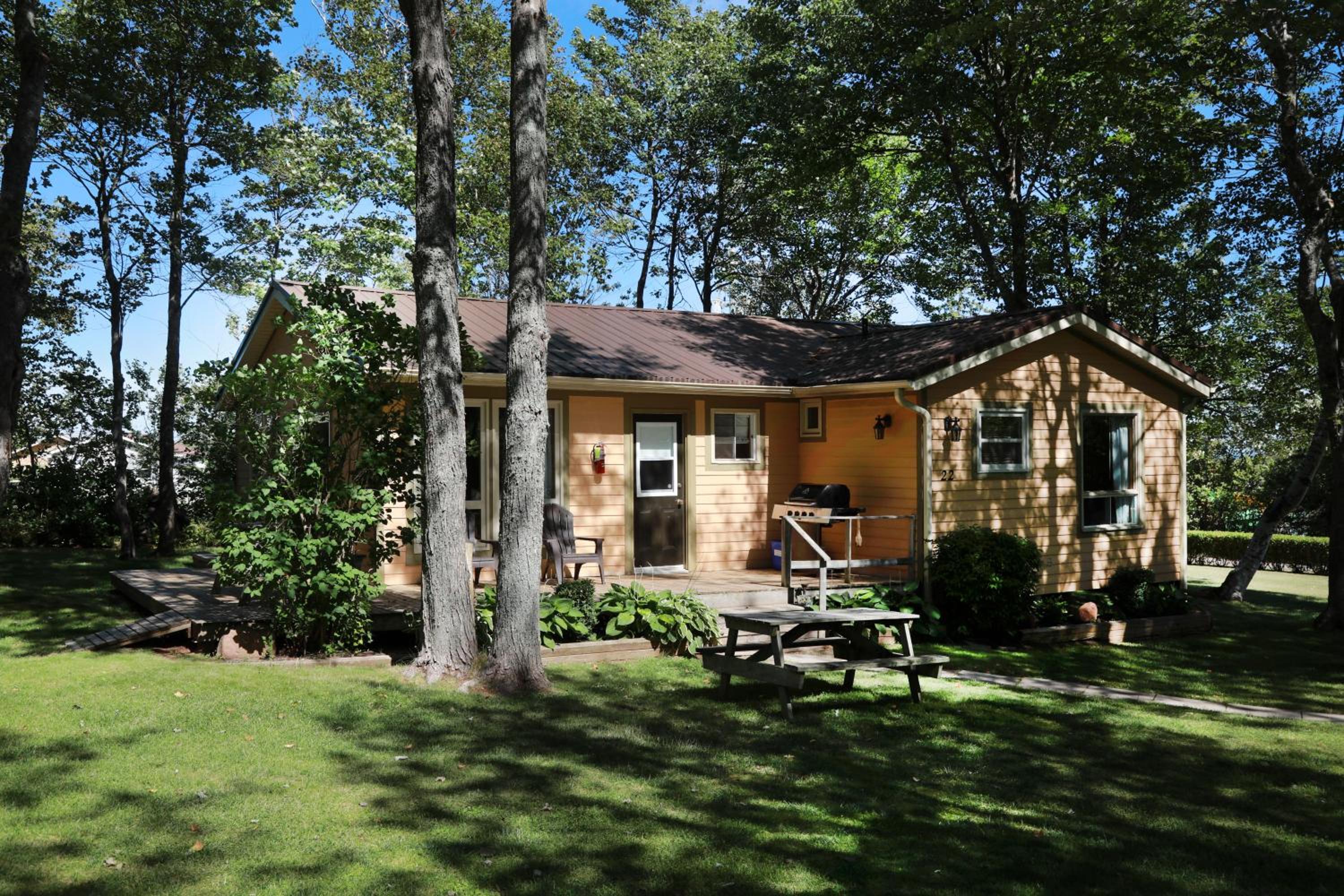 Three-Bedroom Chalet photo 3