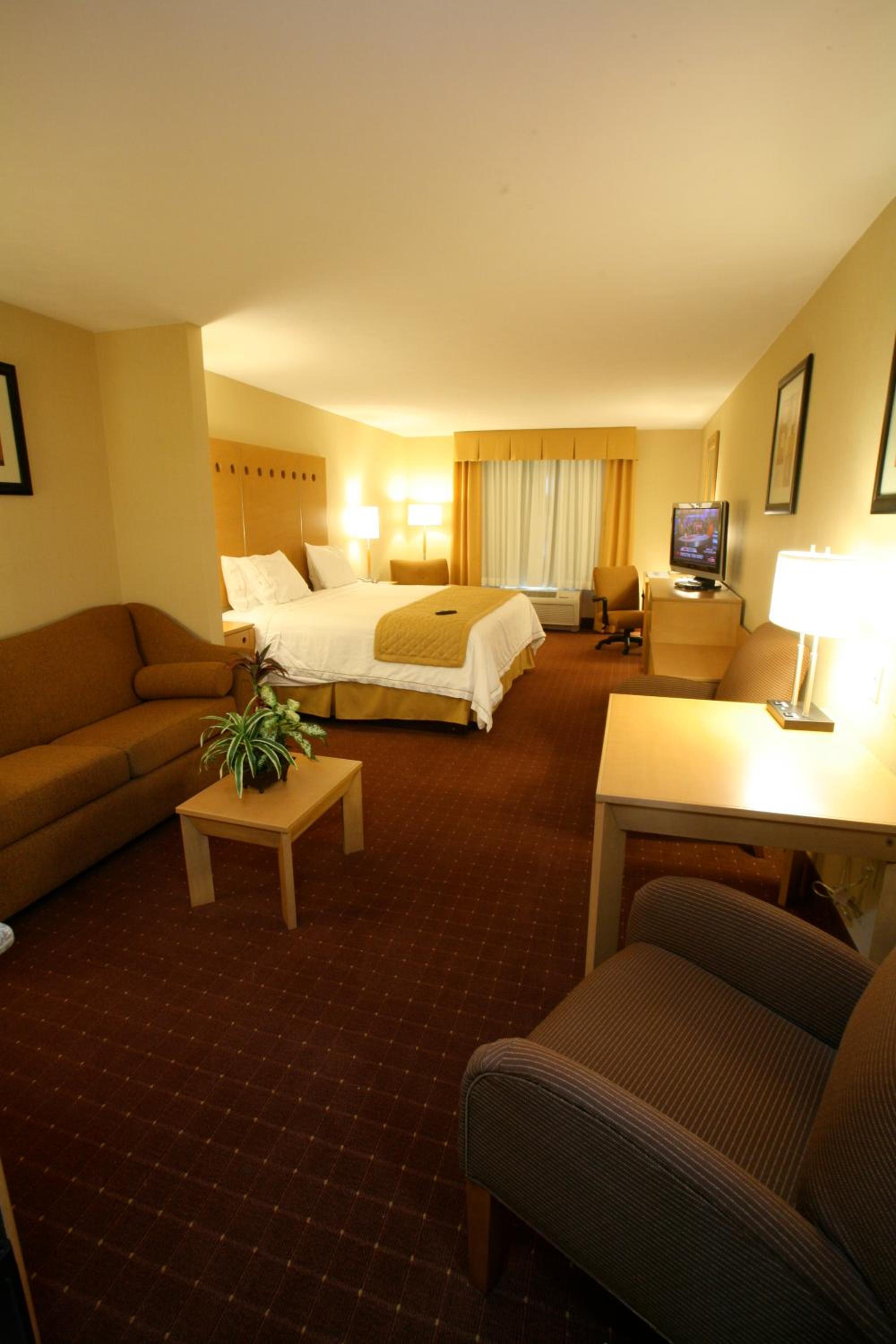 King Suite - Photo 3