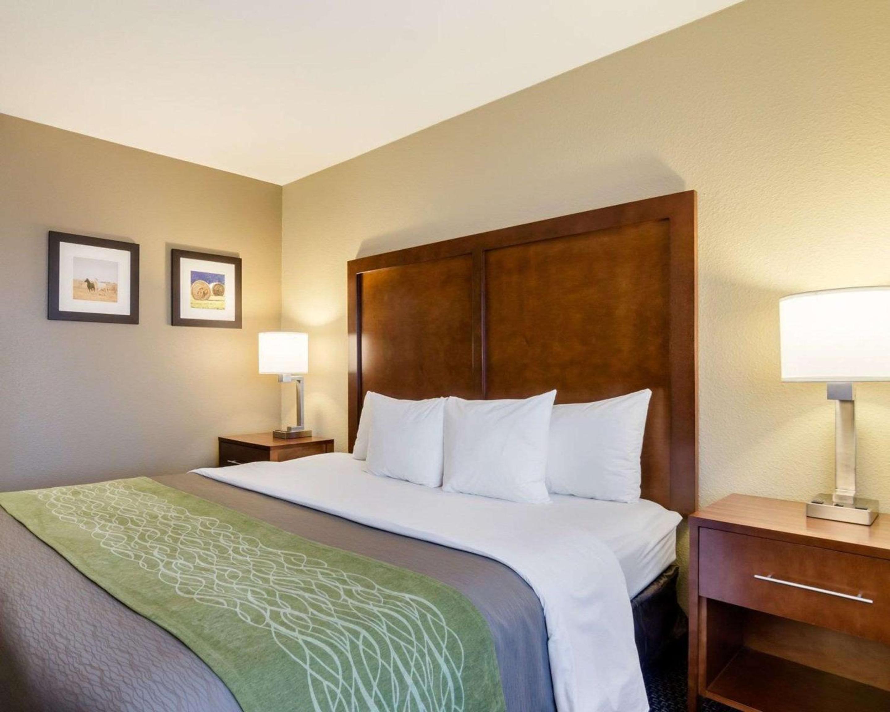 King Room - Non-Smoking - Photo 4