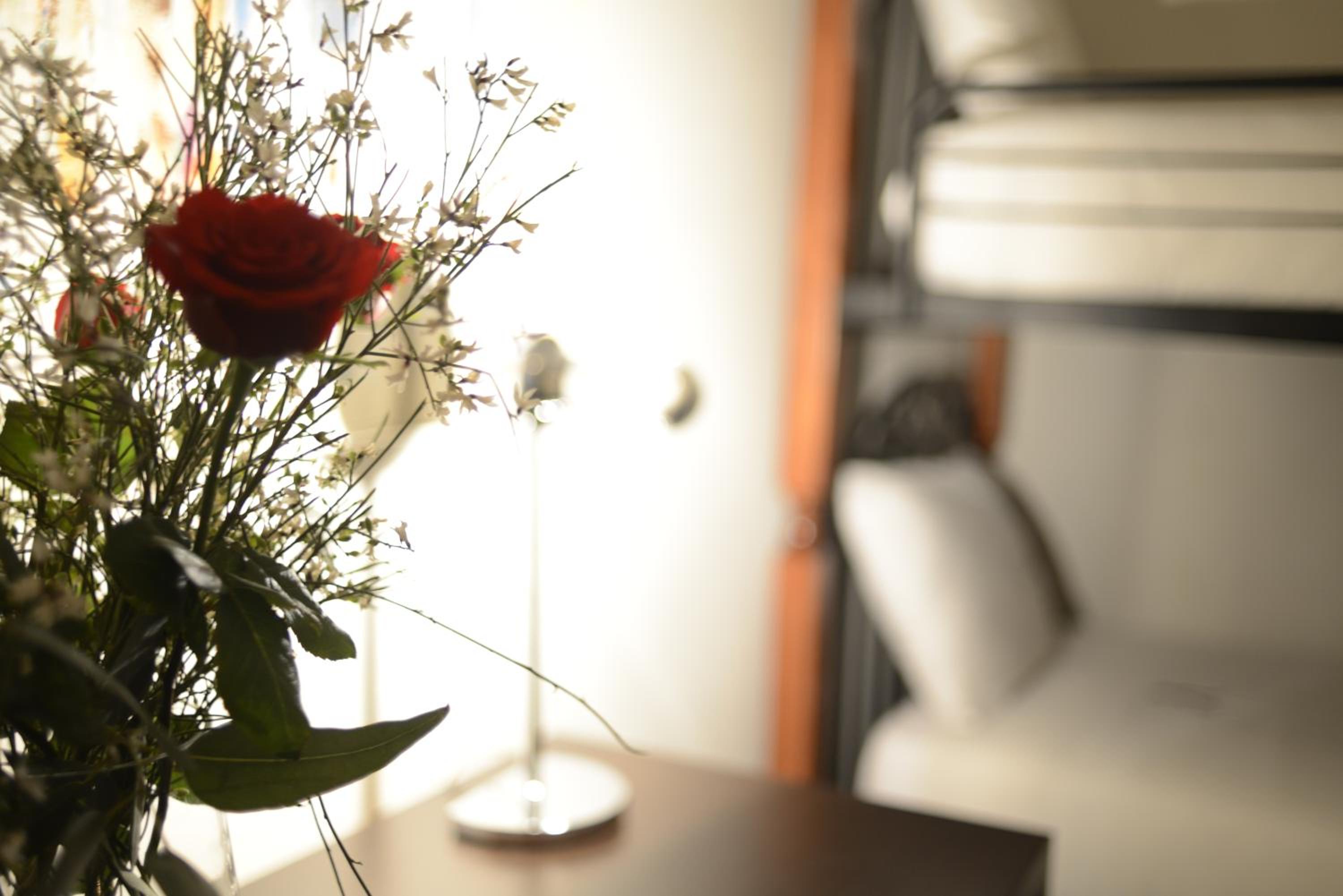Capucine Suite photo 1
