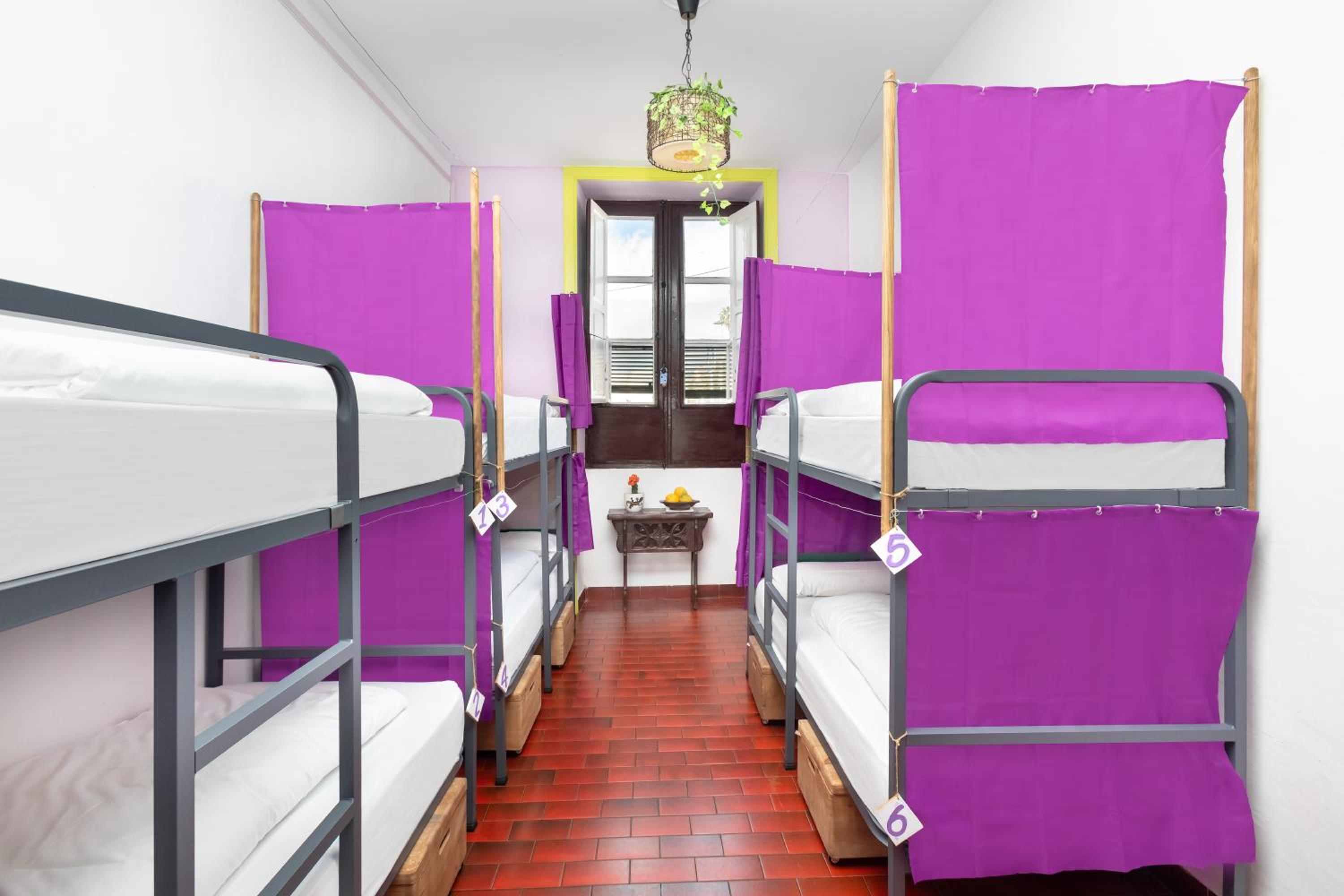 Cama en Habitación Compartida Mixta de 6 Camas