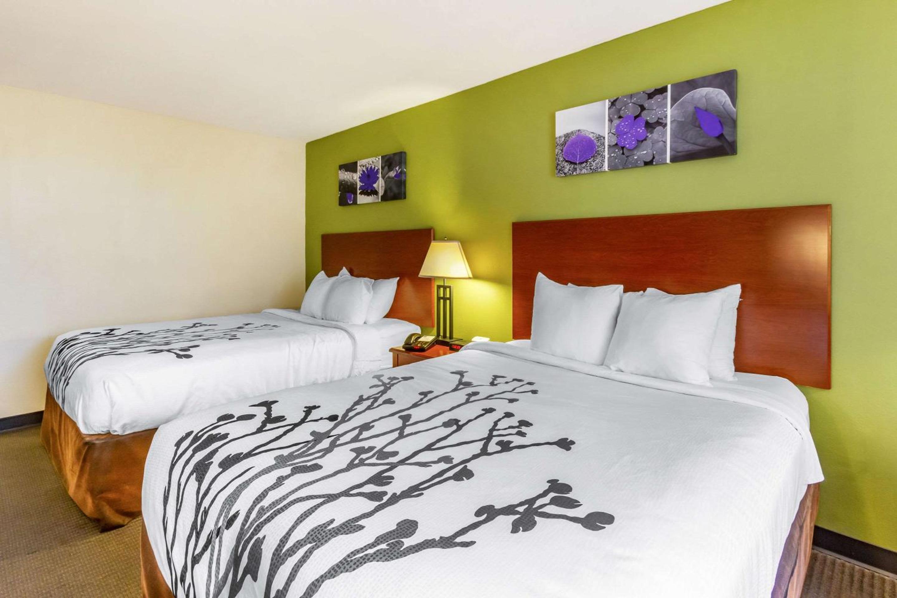 Queen Room with Two Queen Beds and Roll-In Shower - Accessible/Non-Smoking - Photo 2