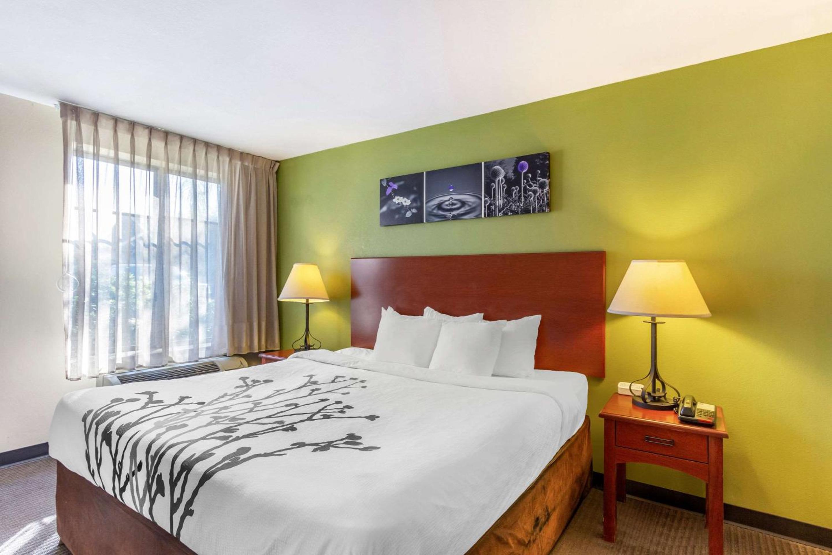 King Room - Accessible/Non-Smoking photo 2