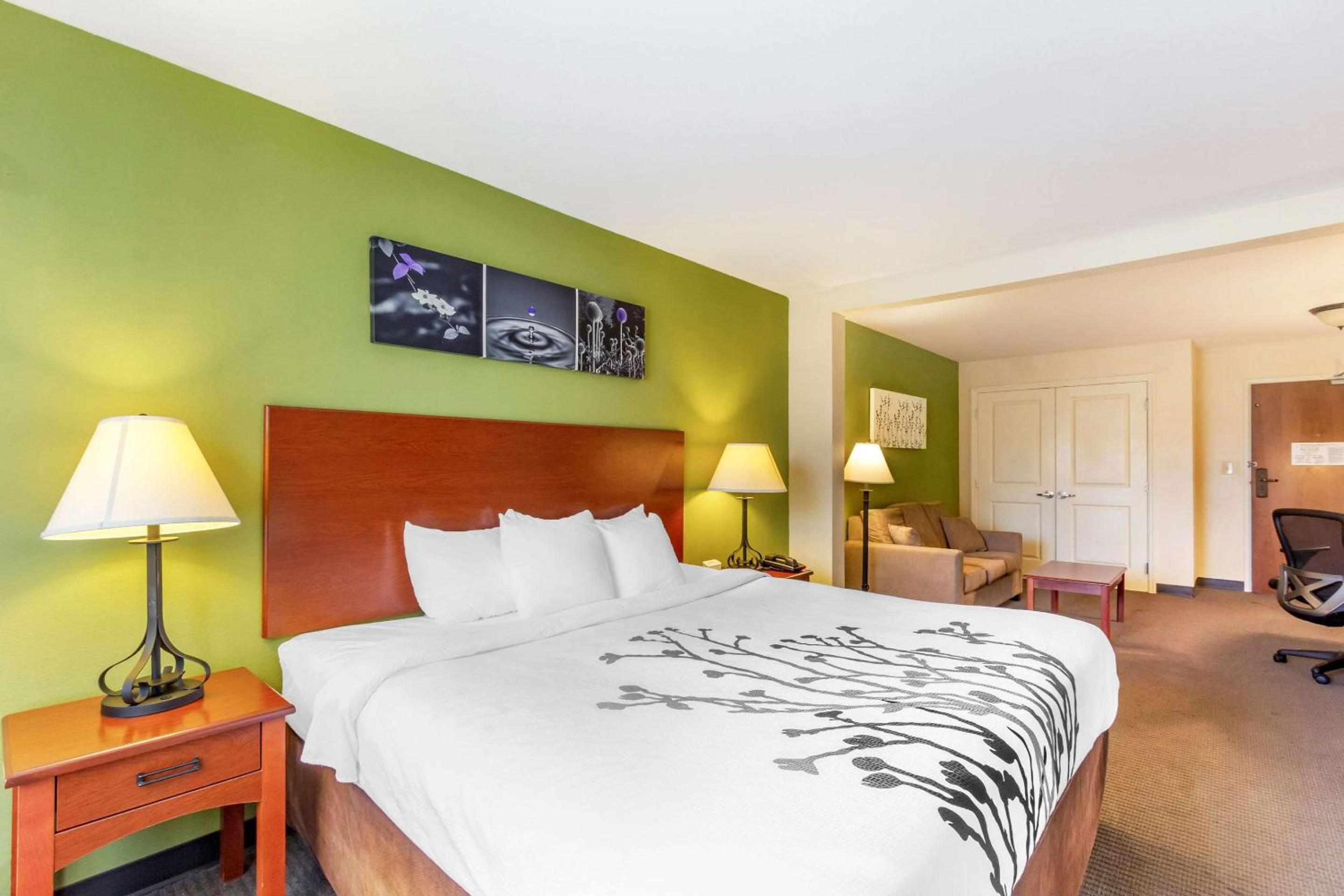 King Suite - Accessible/Non-Smoking - Photo 2