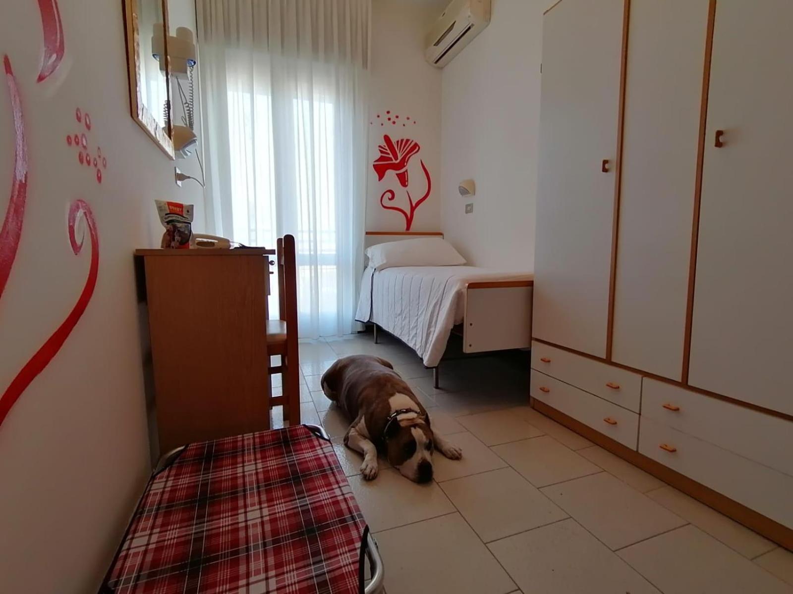 Single Room photo 1