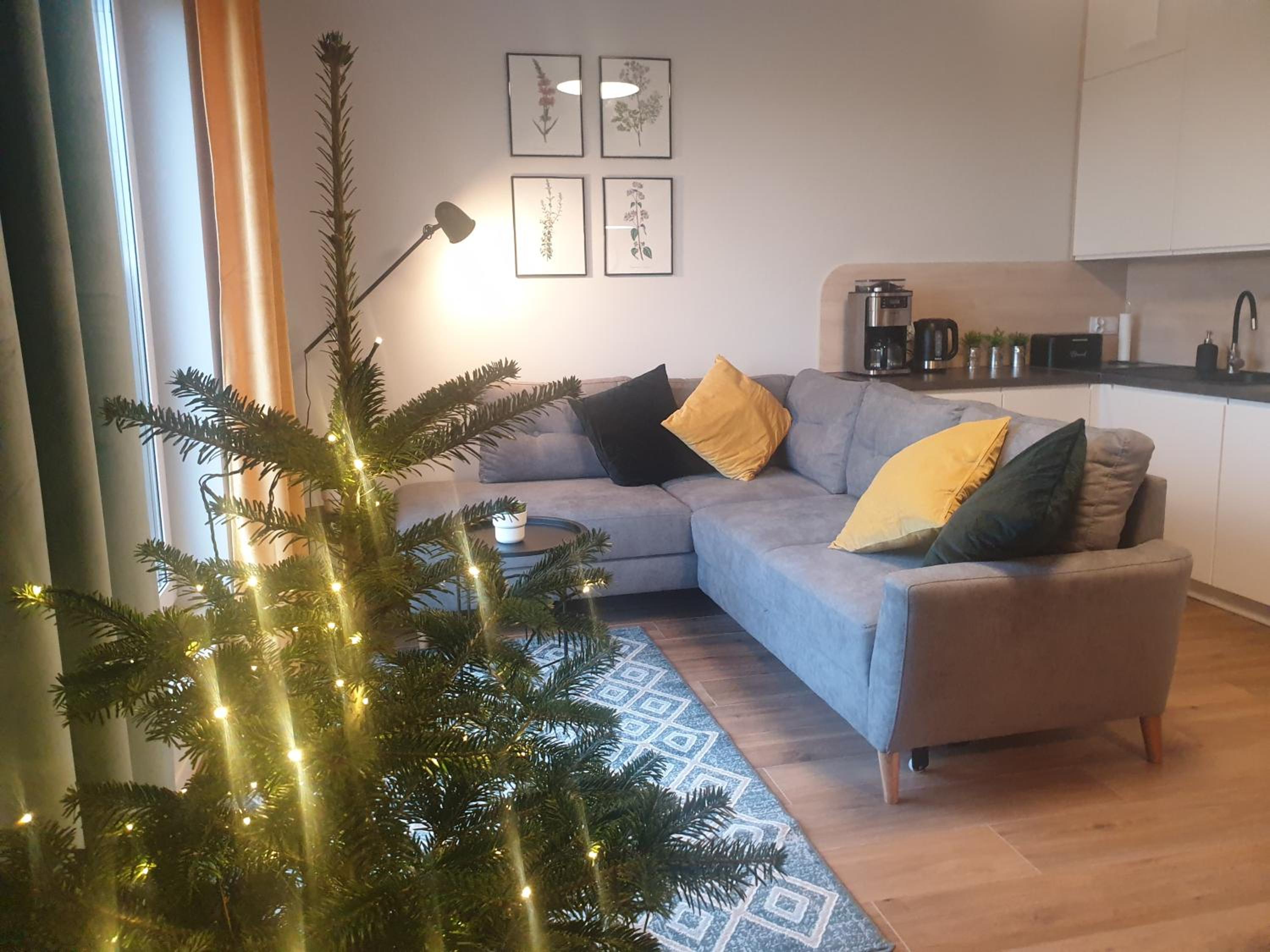 One-Bedroom Apartment - Photo 1