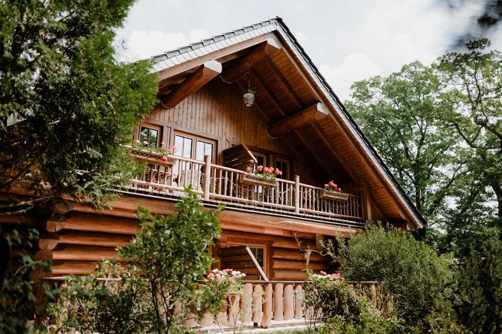 Double Room with Terrace Log House photo 3