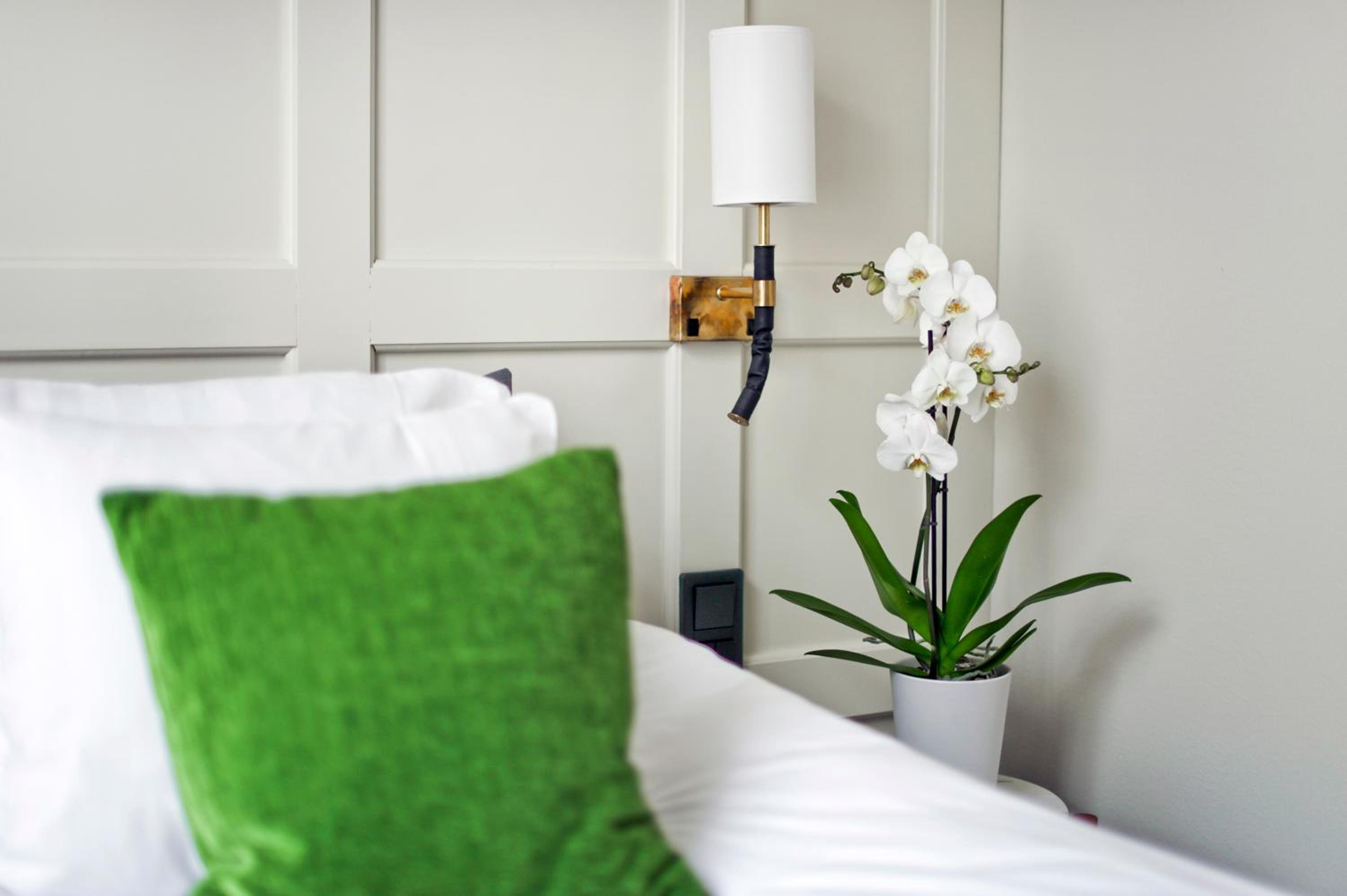 Standard Twin Room - Photo 9