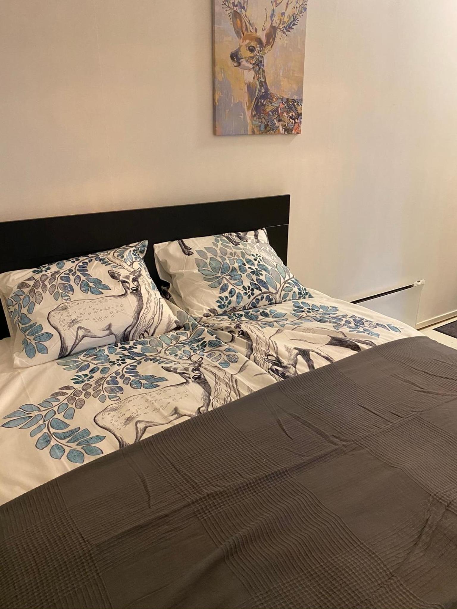 Apartment - Photo 5