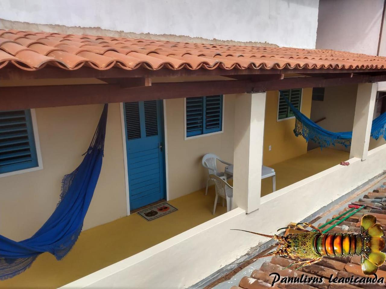 Apartment with Terrace - Photo 7
