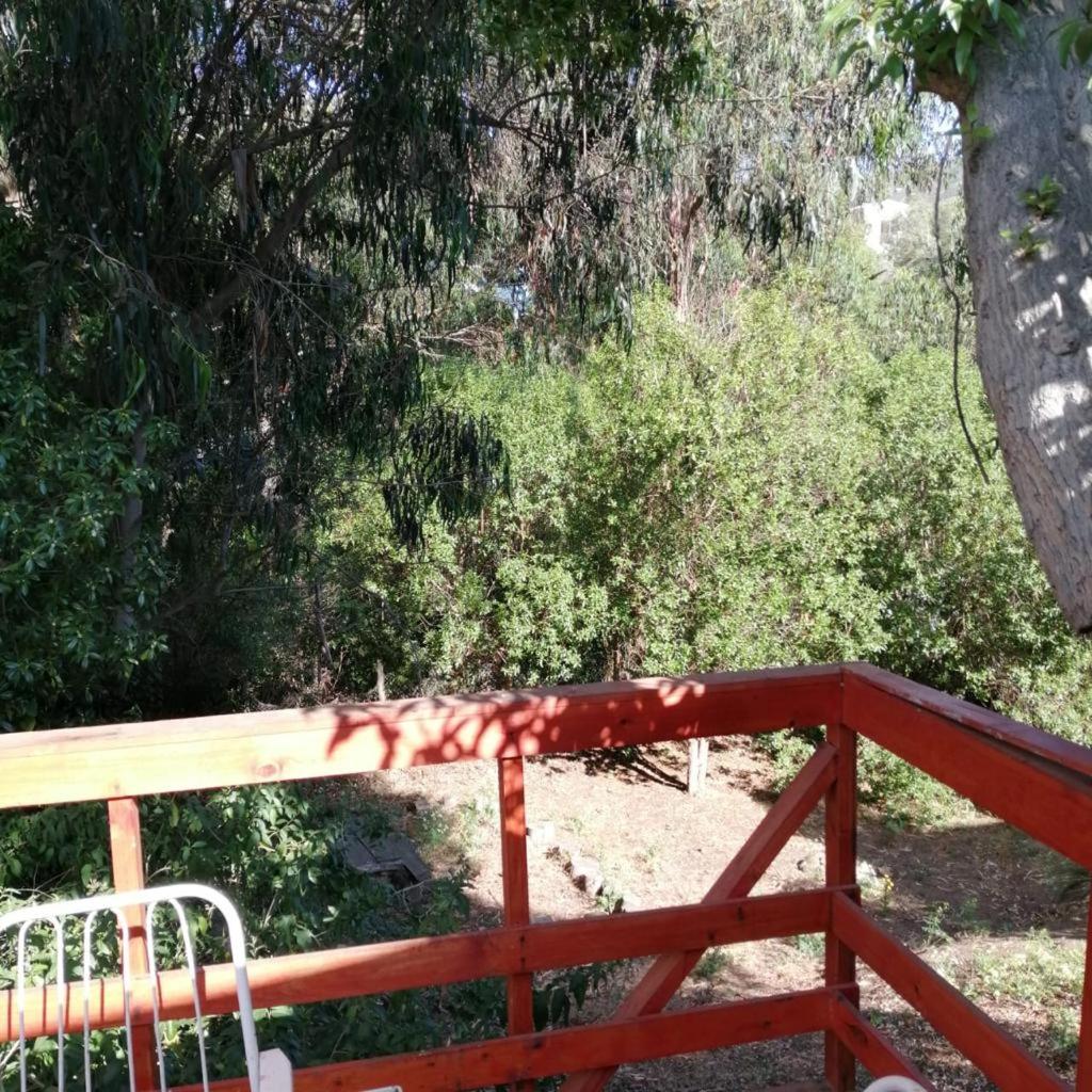 Cottage with Garden View photo 3