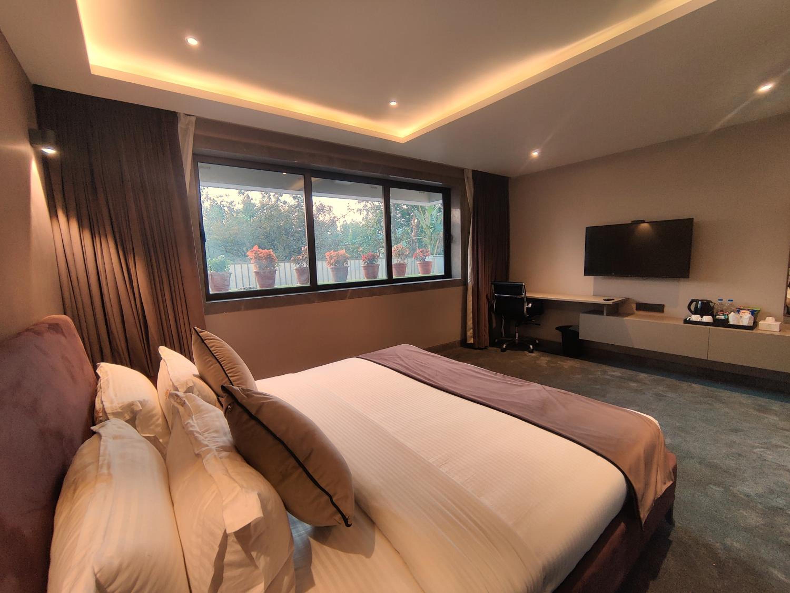 Deluxe Room photo 2