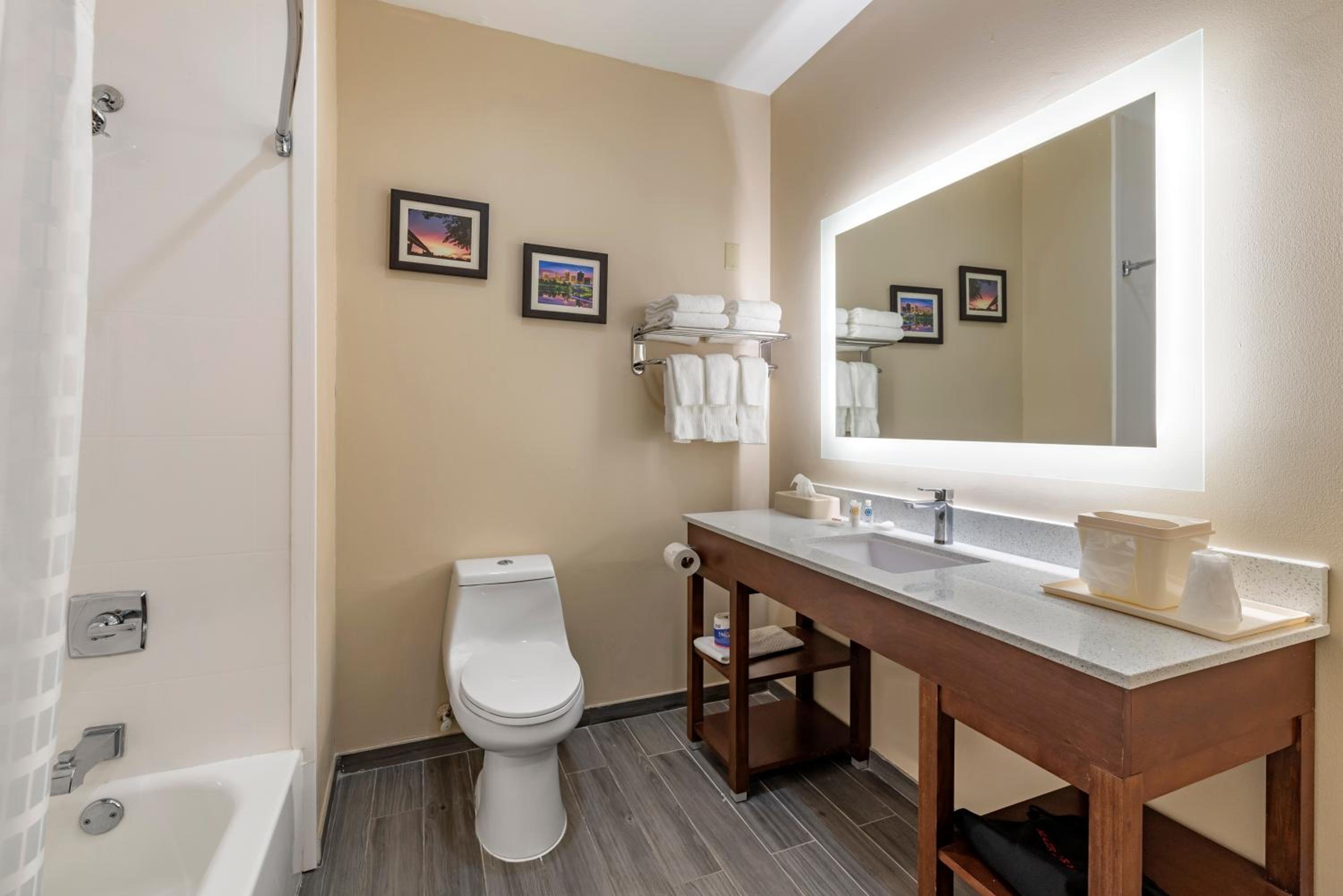King Suite - Non-Smoking photo 3