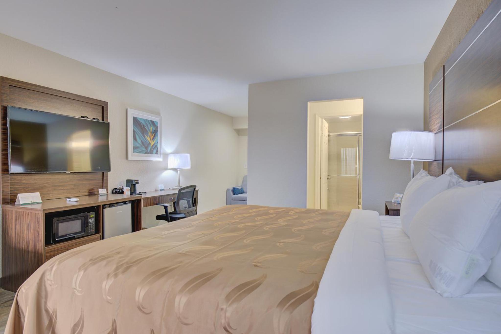 Deluxe King Suite photo 2